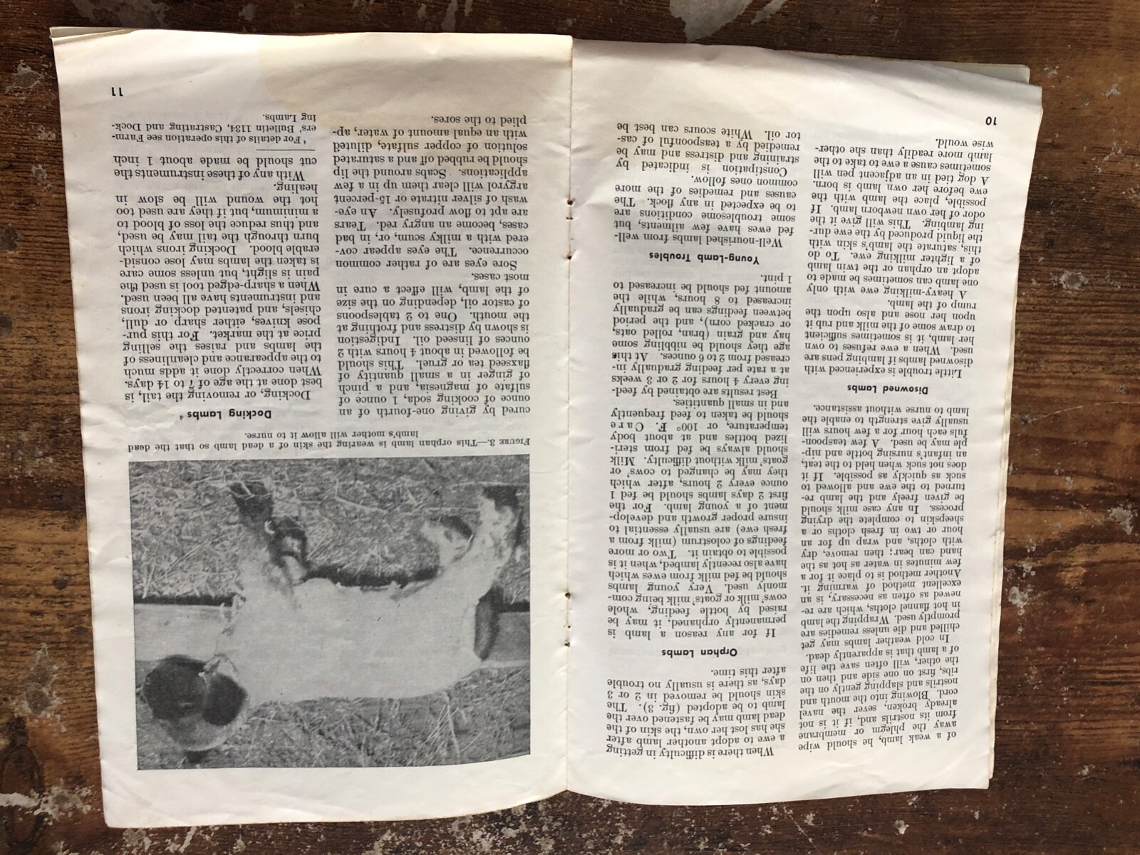 Vintage SHEEP RAISING ON FARM Farmers Bulletin 2058 US DEPT. AGRICULTURE