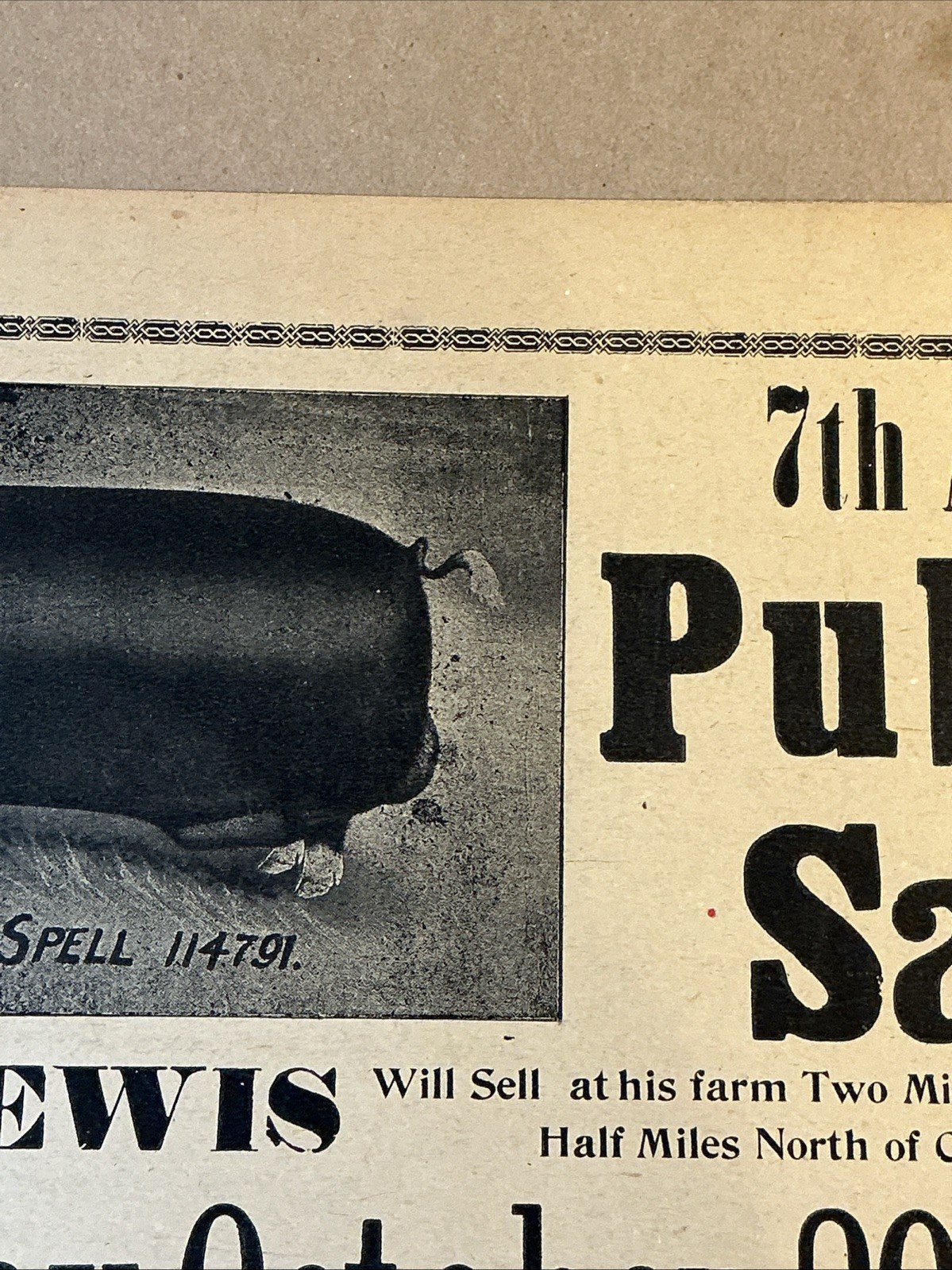 Antique 1911 Original Auction Poster China Hog Public Sale Ohio As Is INV-AC07Z