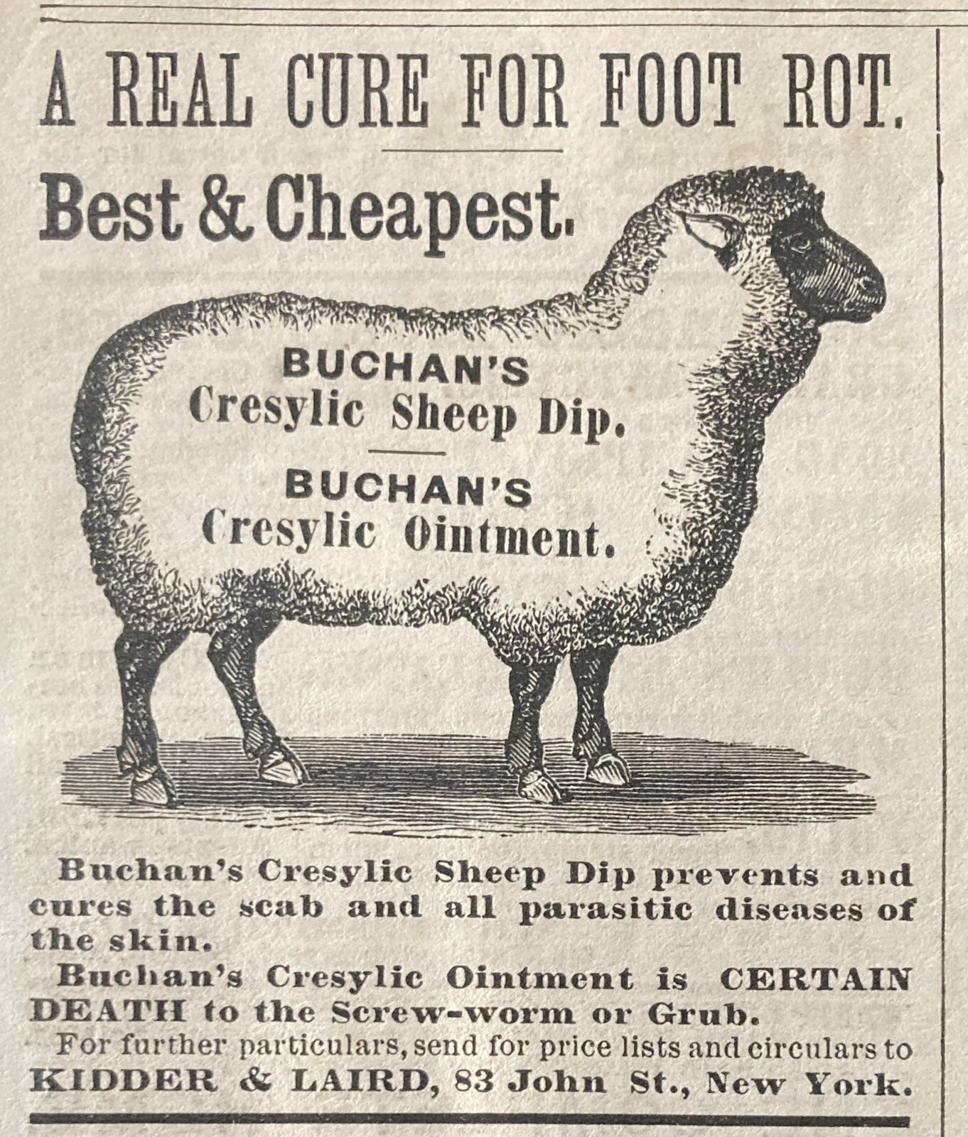 1879 AD.(XH65)~KIDDER & LAIRD, NYC. BUCHAN’S CRESYLIC SHEEP DIP AND OINTMENT
