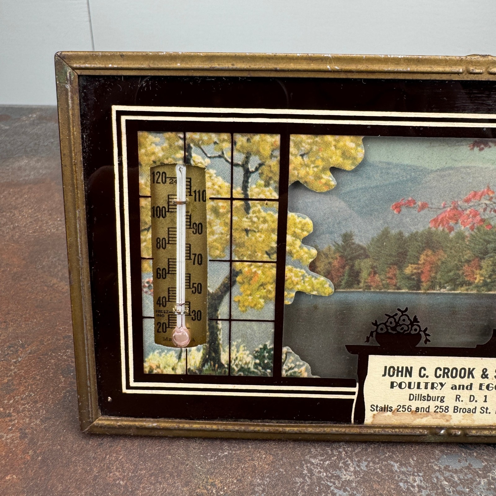 Vtg JOHN C CROOK & SON Poultry & Eggs DILLSBURG, PA Advertising Thermometer