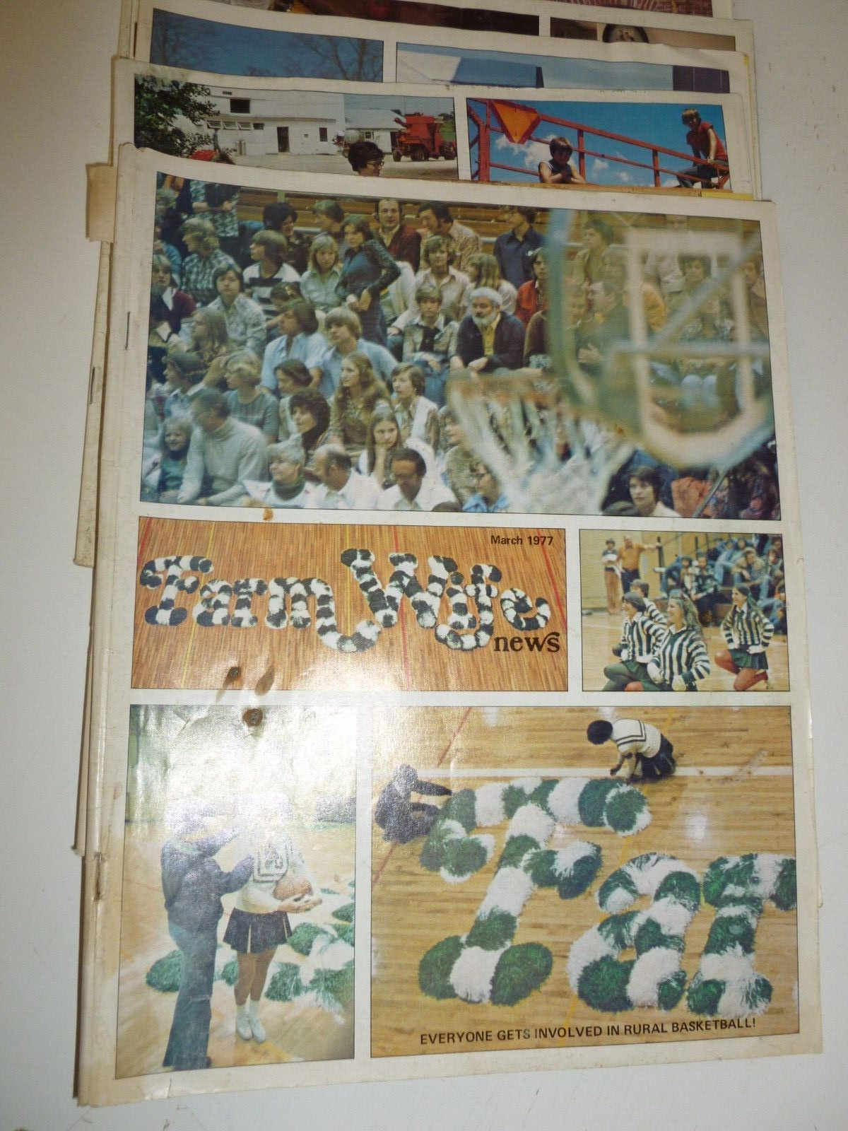 FARM and WIFE MAGAZINEs Lot (partial from 1972 through 1983) 30 magazines total