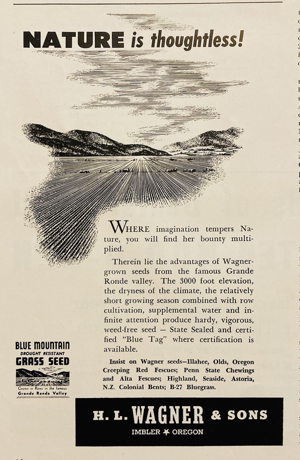 1950 AD.(XH83)~H.L. WAGNER SONS CO. IMBLER, OR. BLUE MOUNTAIN GRASS SEEDS