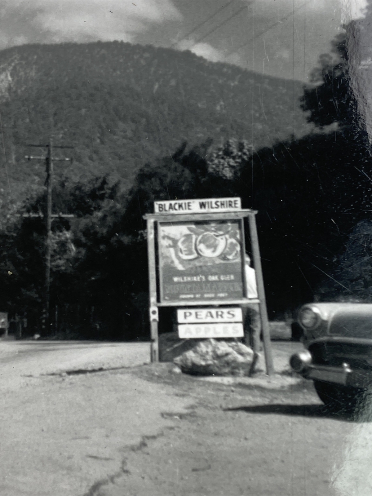 B&W Photo of an ad sign that says, « Blackie Wilshire, Pears and Apples », 1962