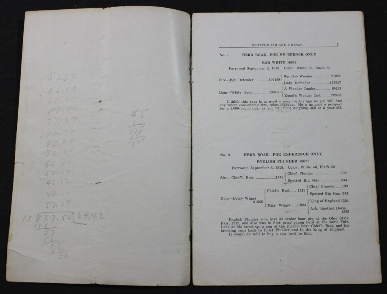 1920 SPOTTED POLAND CHINAS HOG PIG SALE CATALOG ~ NEW CASTLE, INDIANA