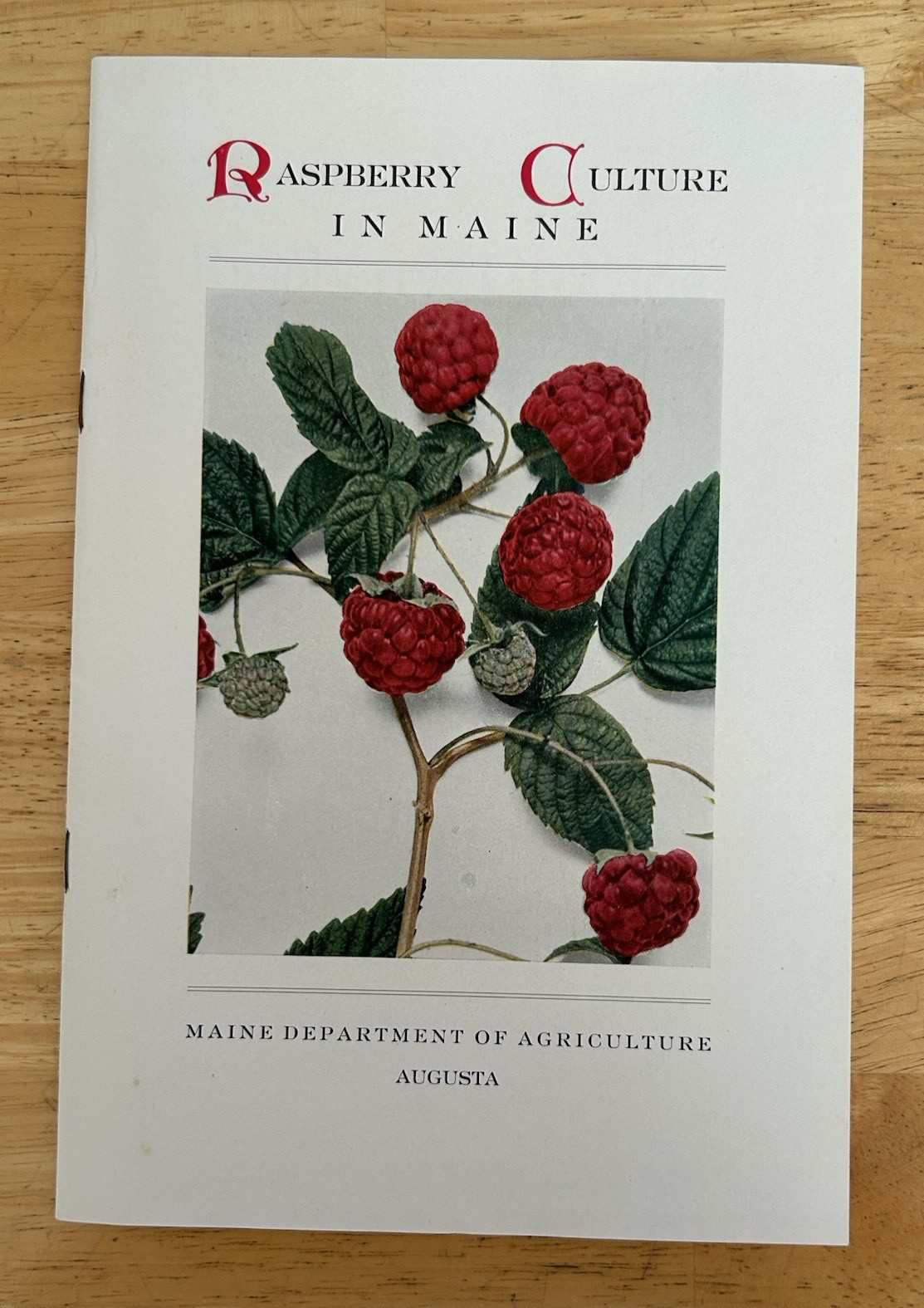 Vintage Maine Agriculture Department Brochures Fruits 1930