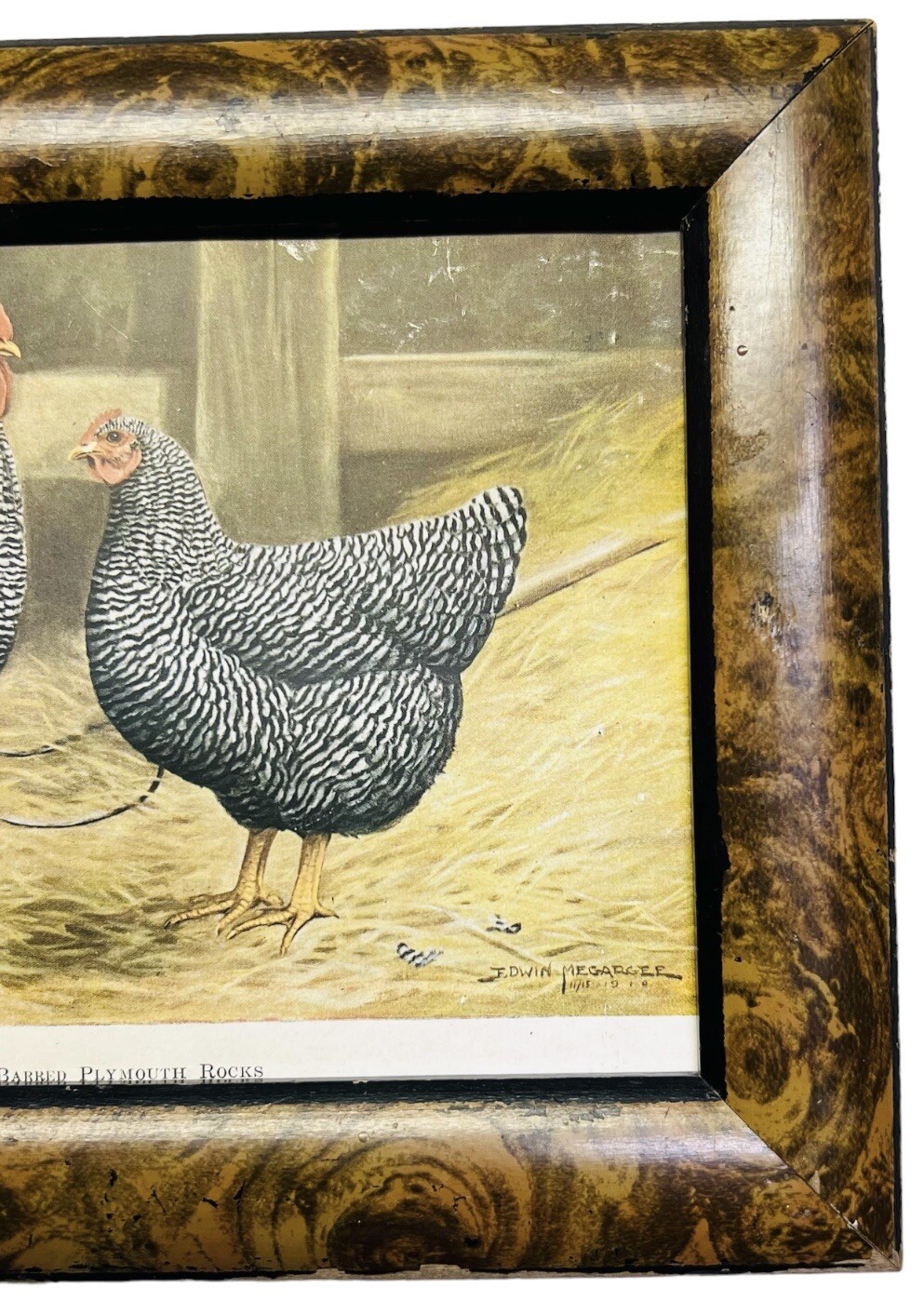 Vintage Barred Plymouth Rocks Framed Poultry Print Edwin Megargee No Glass As Is