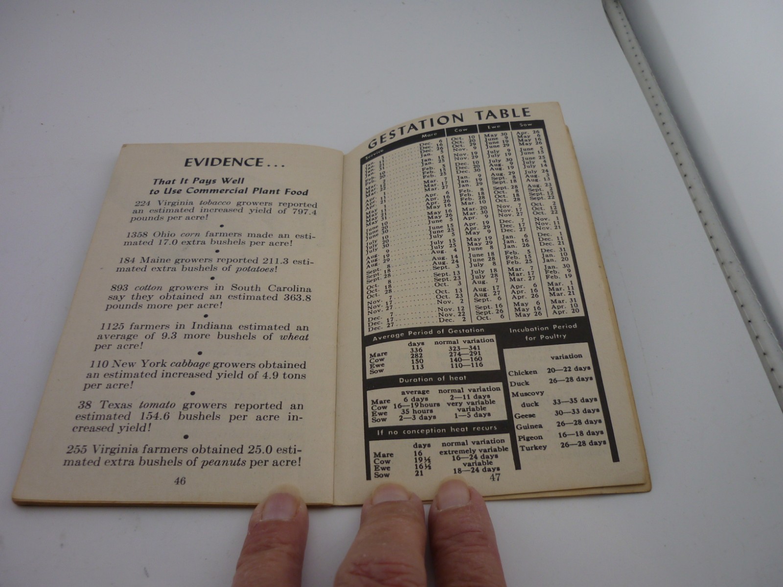 1955 Swift&rsquo;s Red Steer Memo Book Farm Advertising Fertilizer Calendar