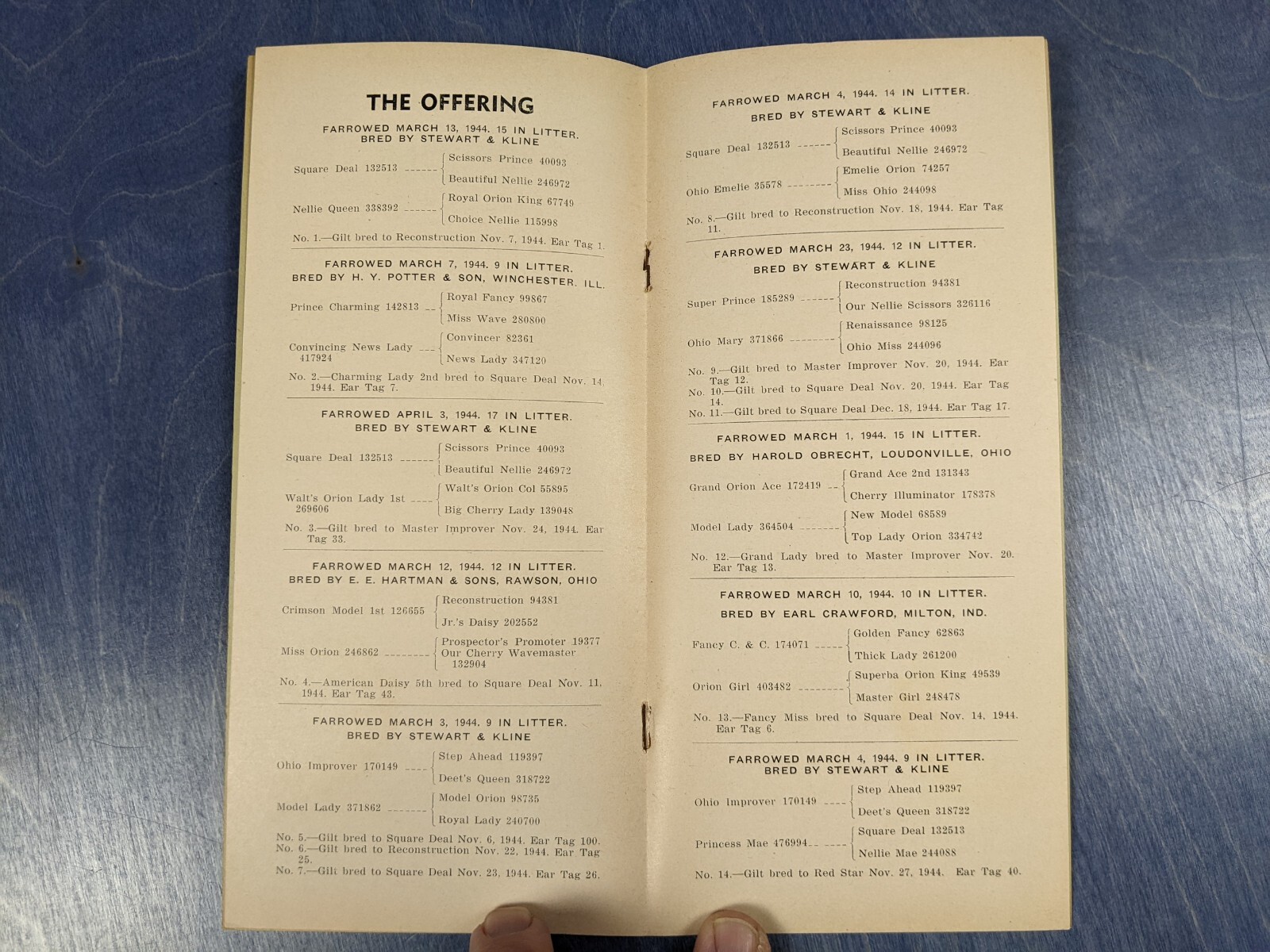 1945 Duroc Bred Gilt Hog Sale Auction Brochure – Brumbaugh Implement Eaton Ohio