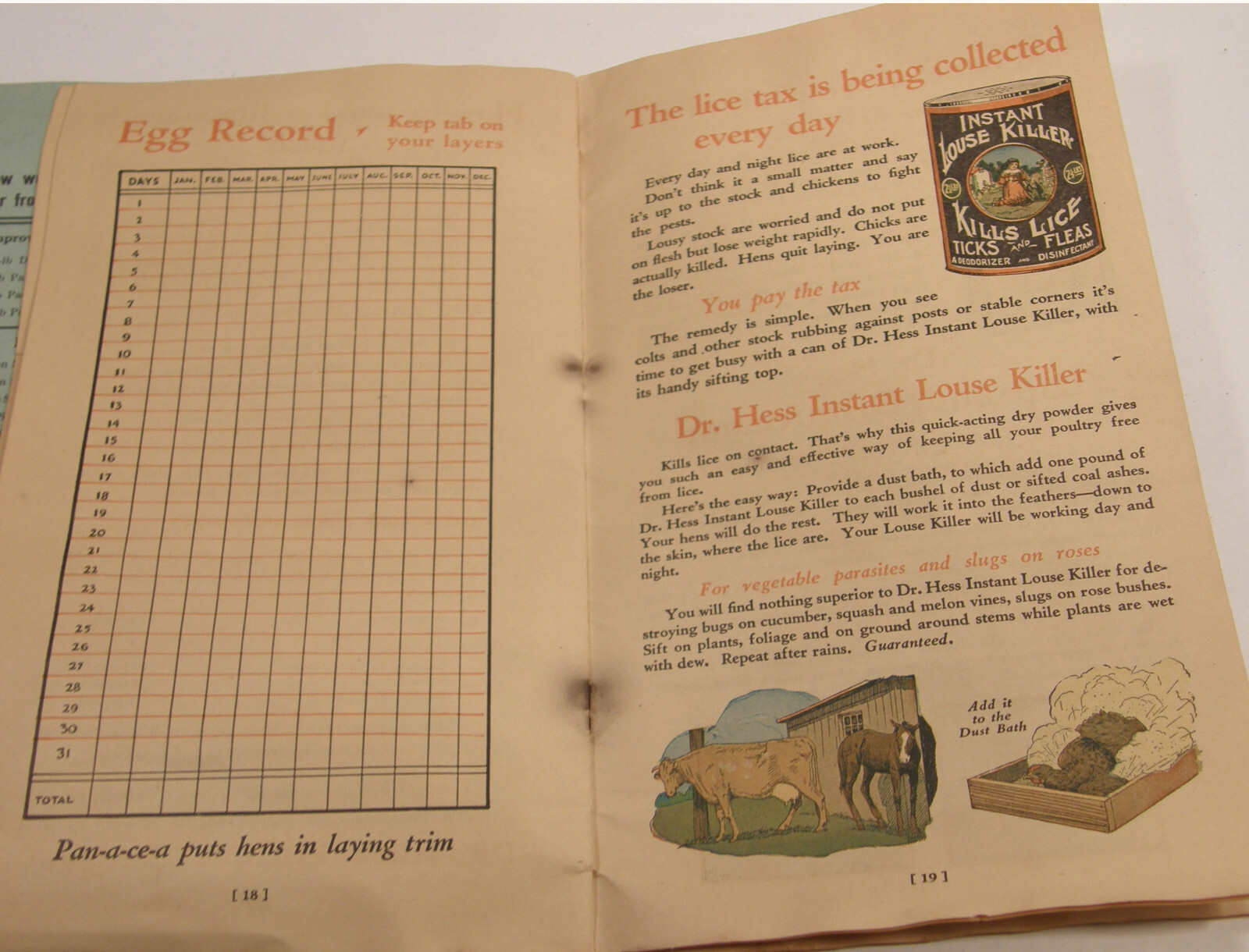 VINTAGE 1927 DR HESS CATALOG ASHLAND OHIO LIVESTOCK POULTRY PIGS COWS REMEDIES