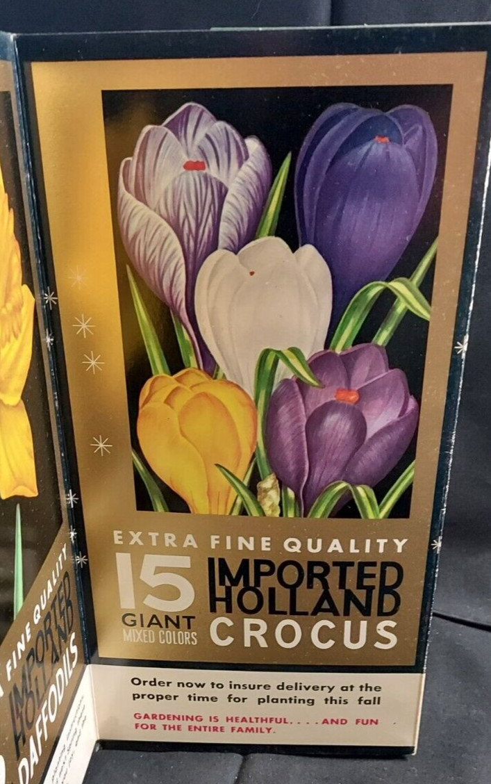 Old Advertising Promotional Folder Associated Bulb Growers Of Holland Tulips