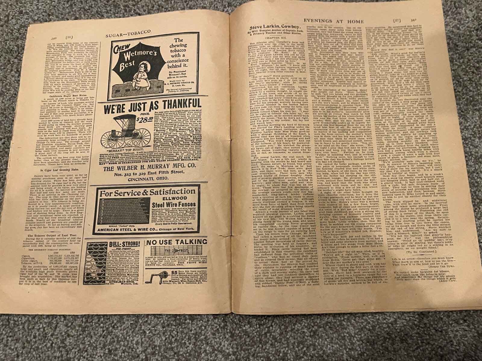 March 1901 THE ORANGE JUDD FARMER Magazine Farm Advertising Horticulture