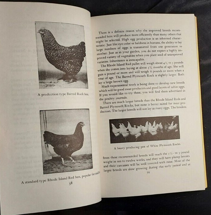 1974 Starting Right With Poultry GT Klein Sixth Printing Raising Chickens