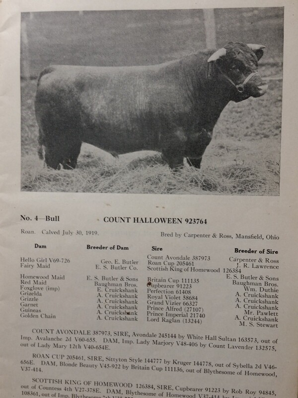 1921 Shorthorn Cattle Auction Catalog Stock Yards Chicago Carpenter & Ross OH