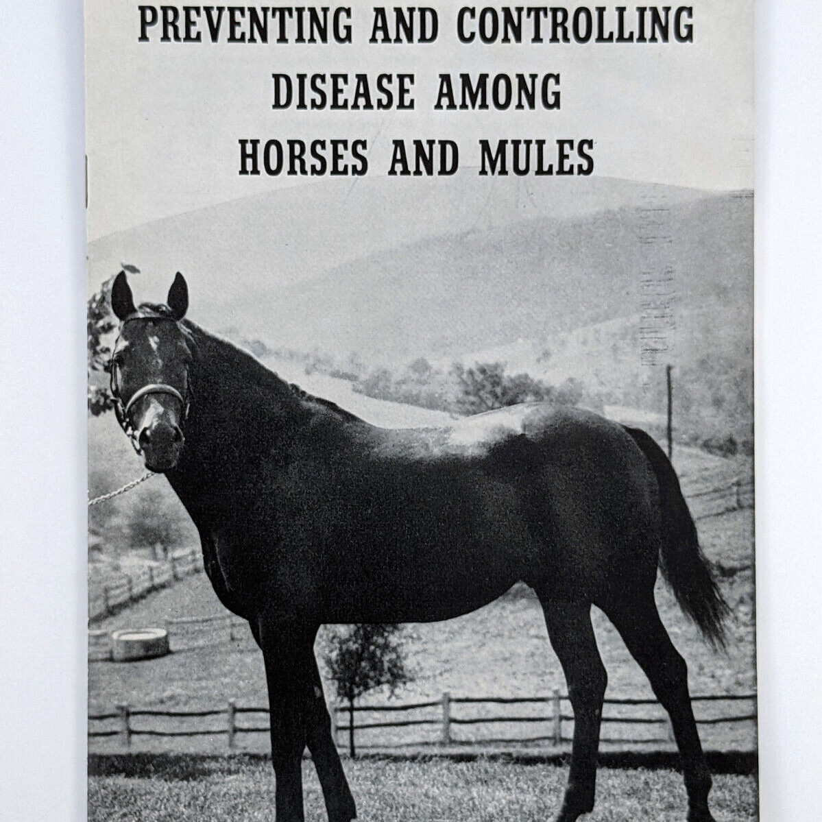 1946 Horse And Mule Association Brochure Preventing And Controlling Diseases