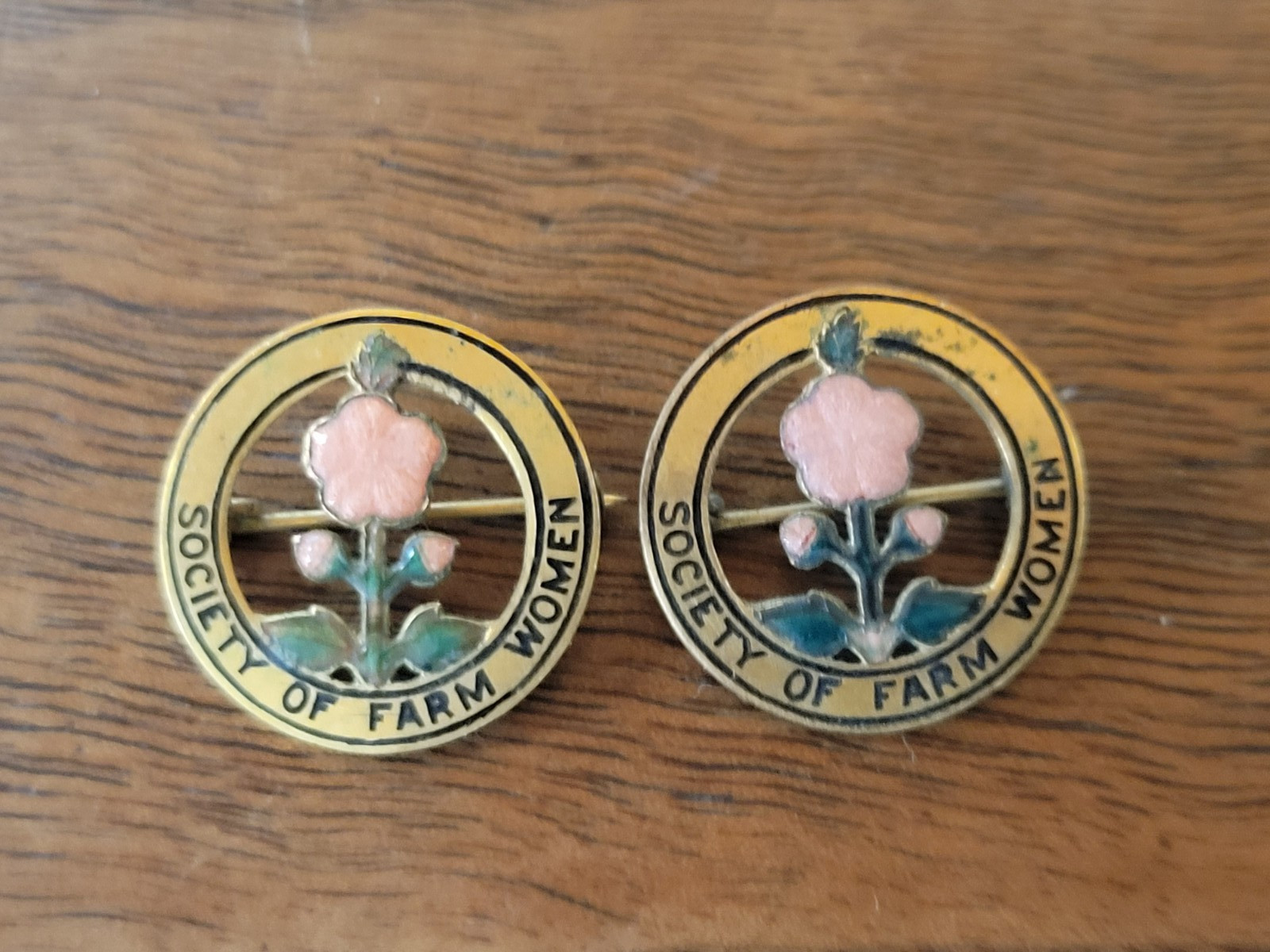 Vintage Society Of Farm Women – Pennsylvania Red Flowers Floral Pins x2