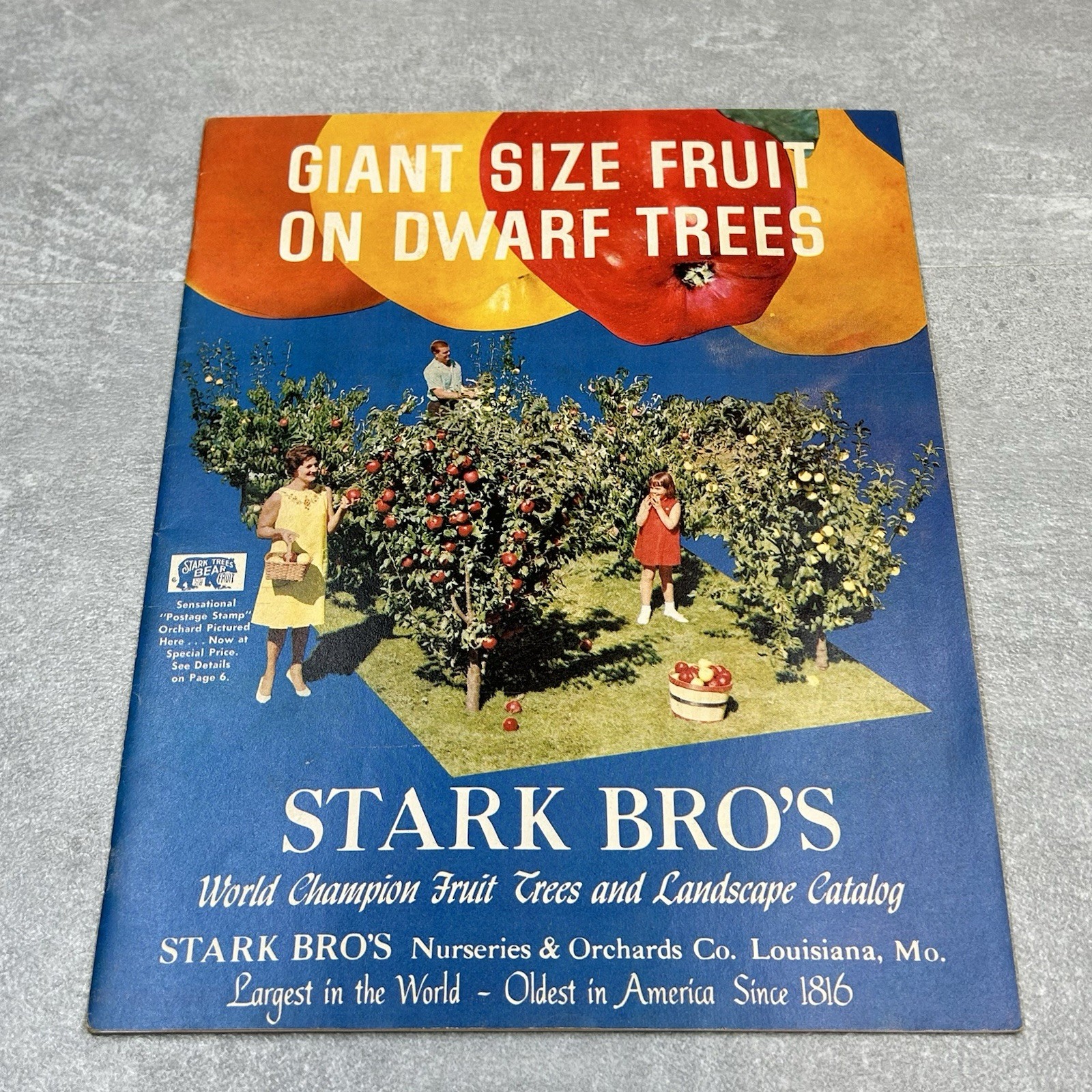 Vintage 1960s Stark Bros Nurseries & Orchards Dwarf Fruit Trees Catalog