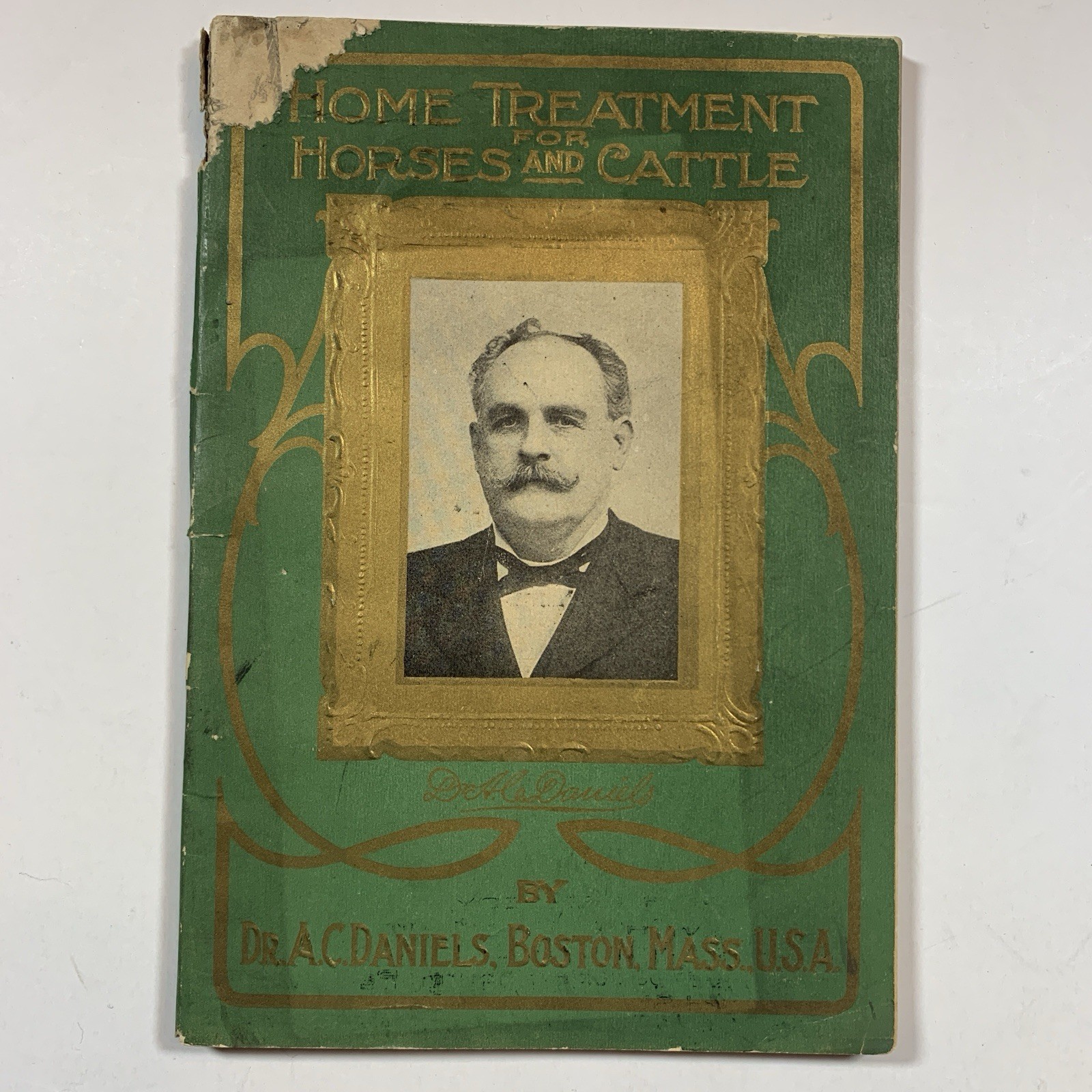 HOME TREATMENT FOR HORSES AND CATTLE by A.C. Daniels – Original 1907 Paperback