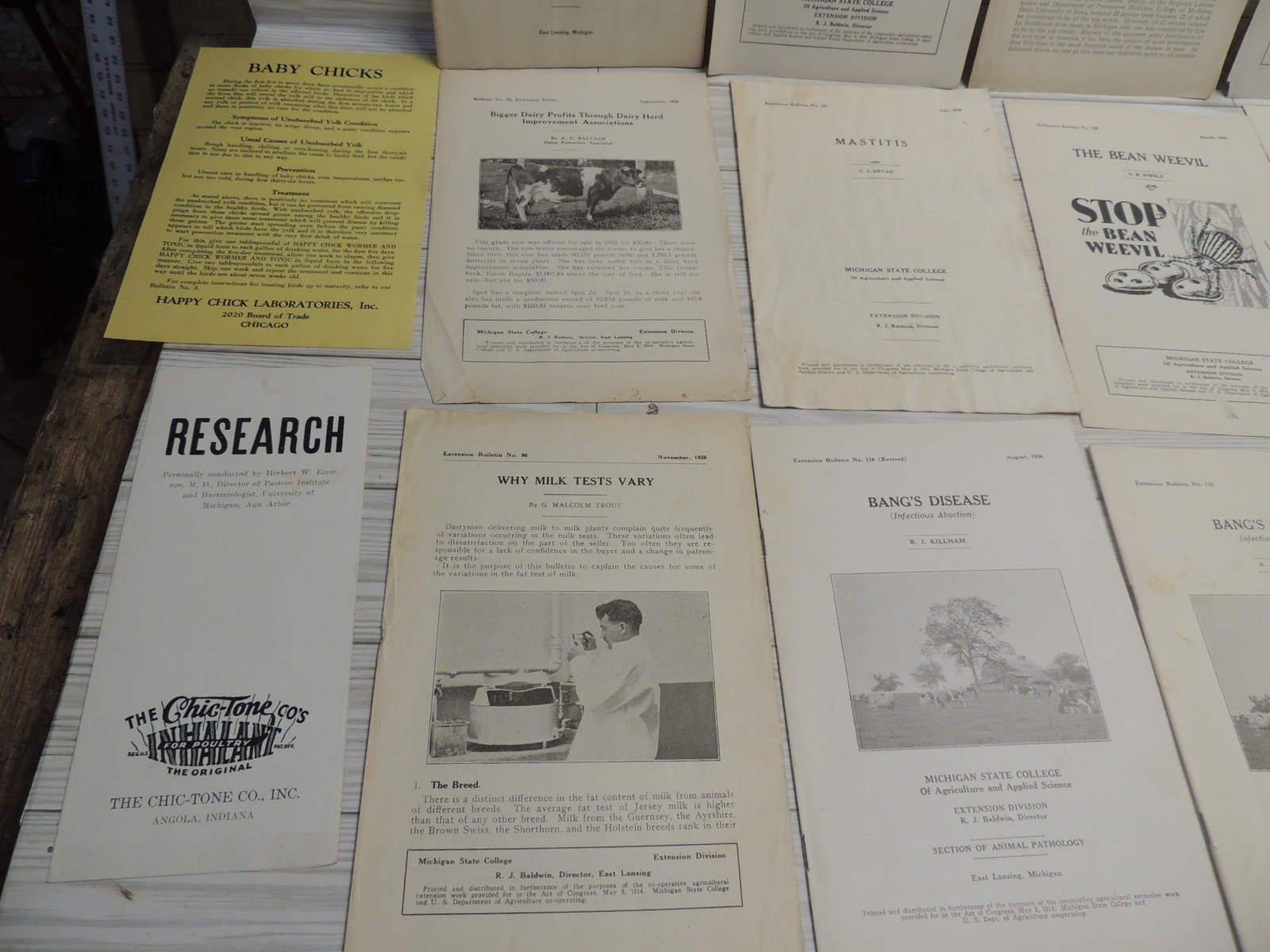 Lg Lot of Michigan State & USDA Bulletins 1920s-1930&rsquo;s Plus Happy Chick Brochure