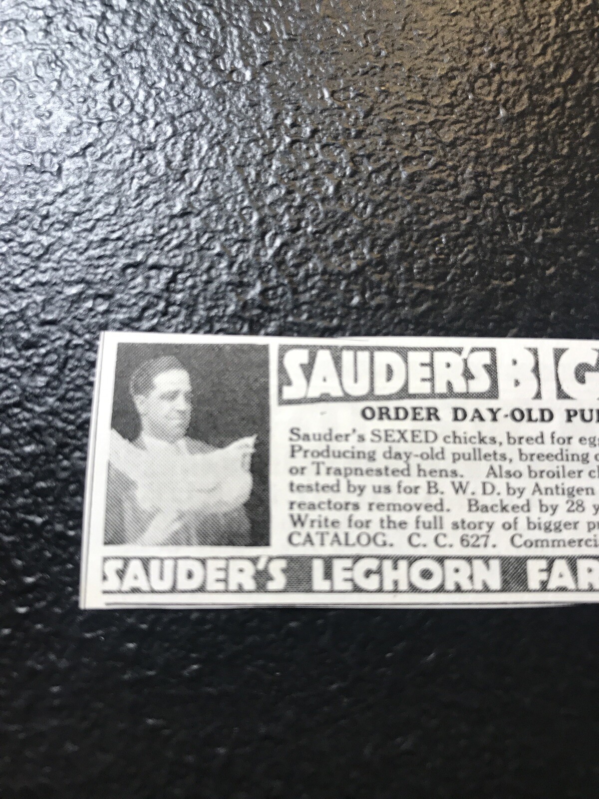 1935 Saunder’s Leghorn – Chicken Farm Advertising – Grabill – Indiana Fort Wayne
