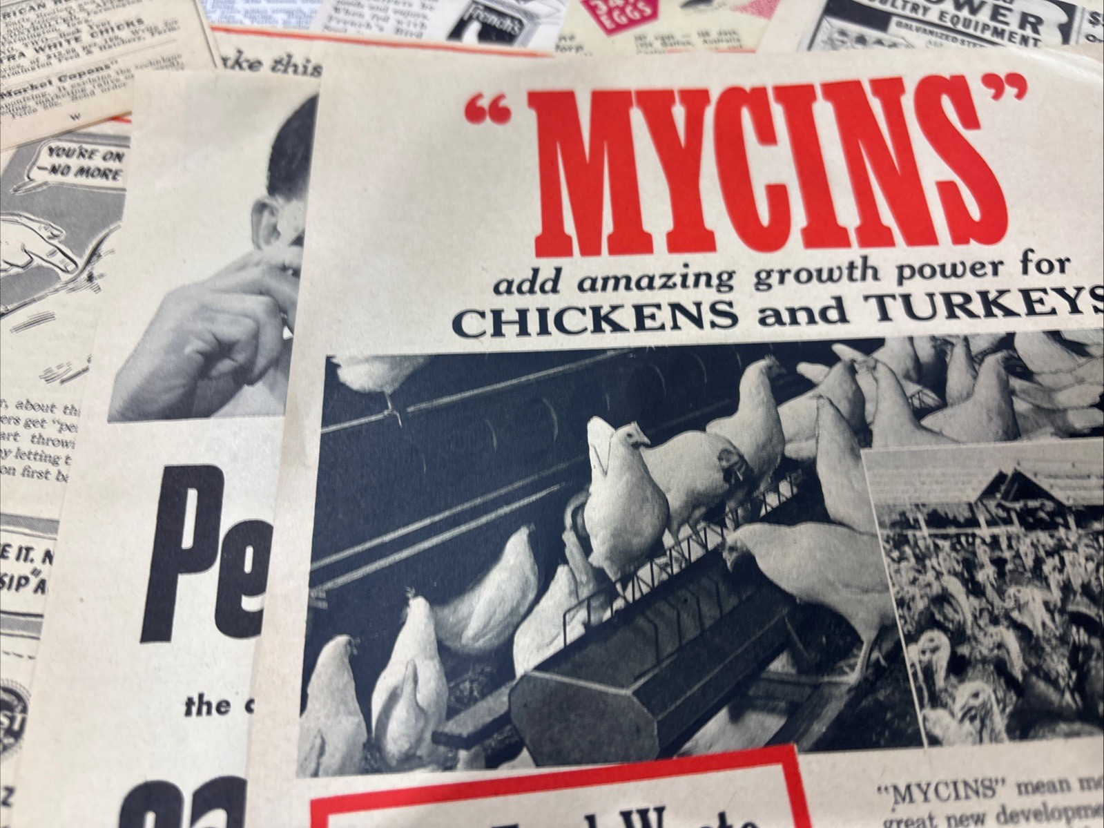 Lot Of 60 Chicken Poultry Egg Related Magazine Print ads 1930-50s