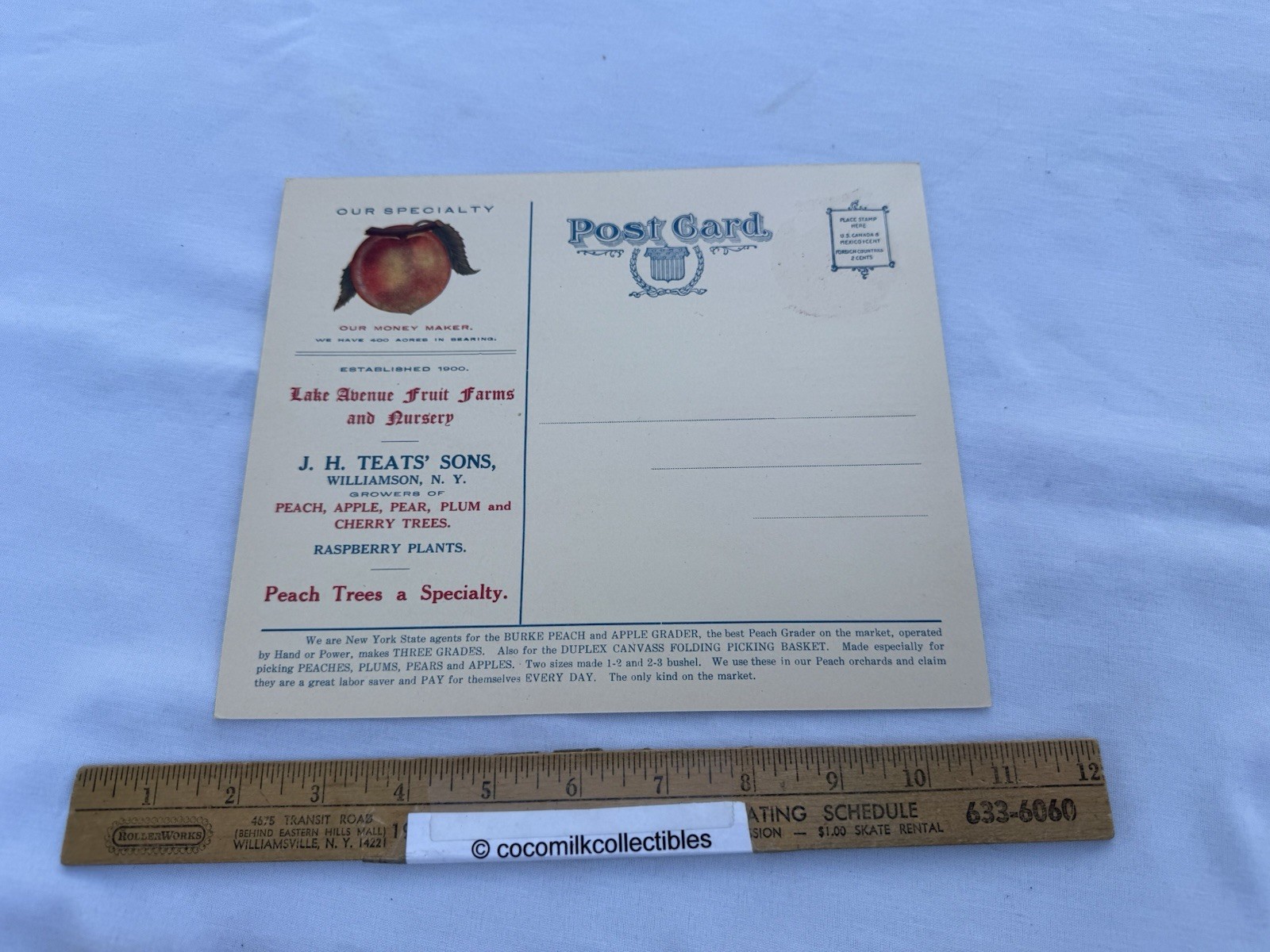Vintage 1940&rsquo;s Sales Mailer Postcard J H Teat&rsquo;s Sons Williamson NY Peach Apple