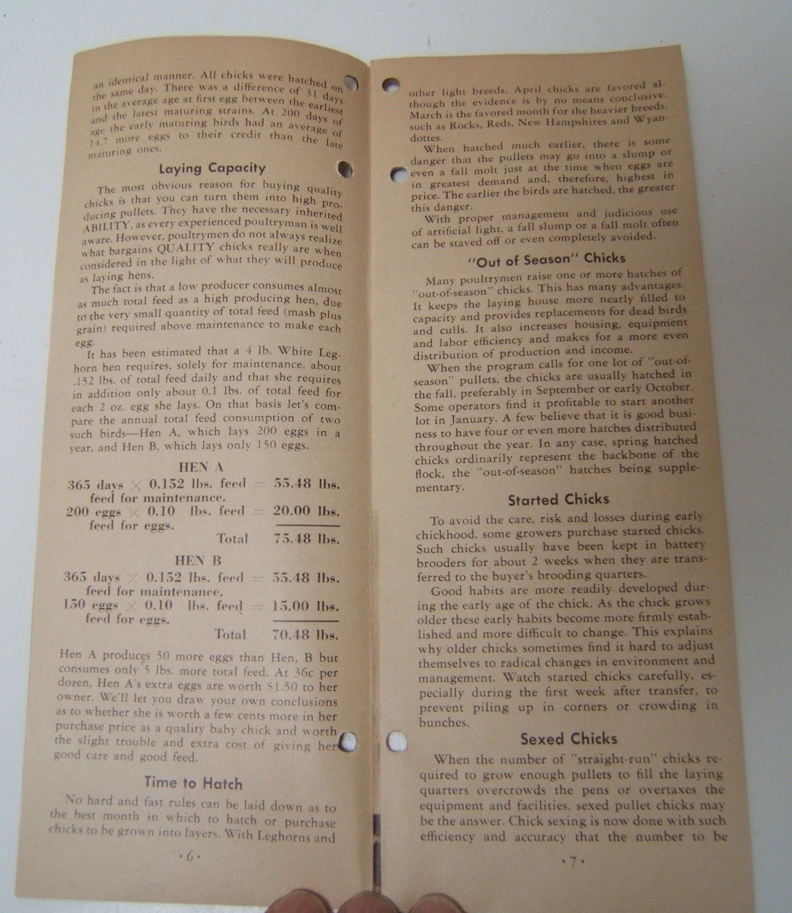 Vtg Larro Chick Book 1944 General Mills Booklet on Raising Chickens Illustrated