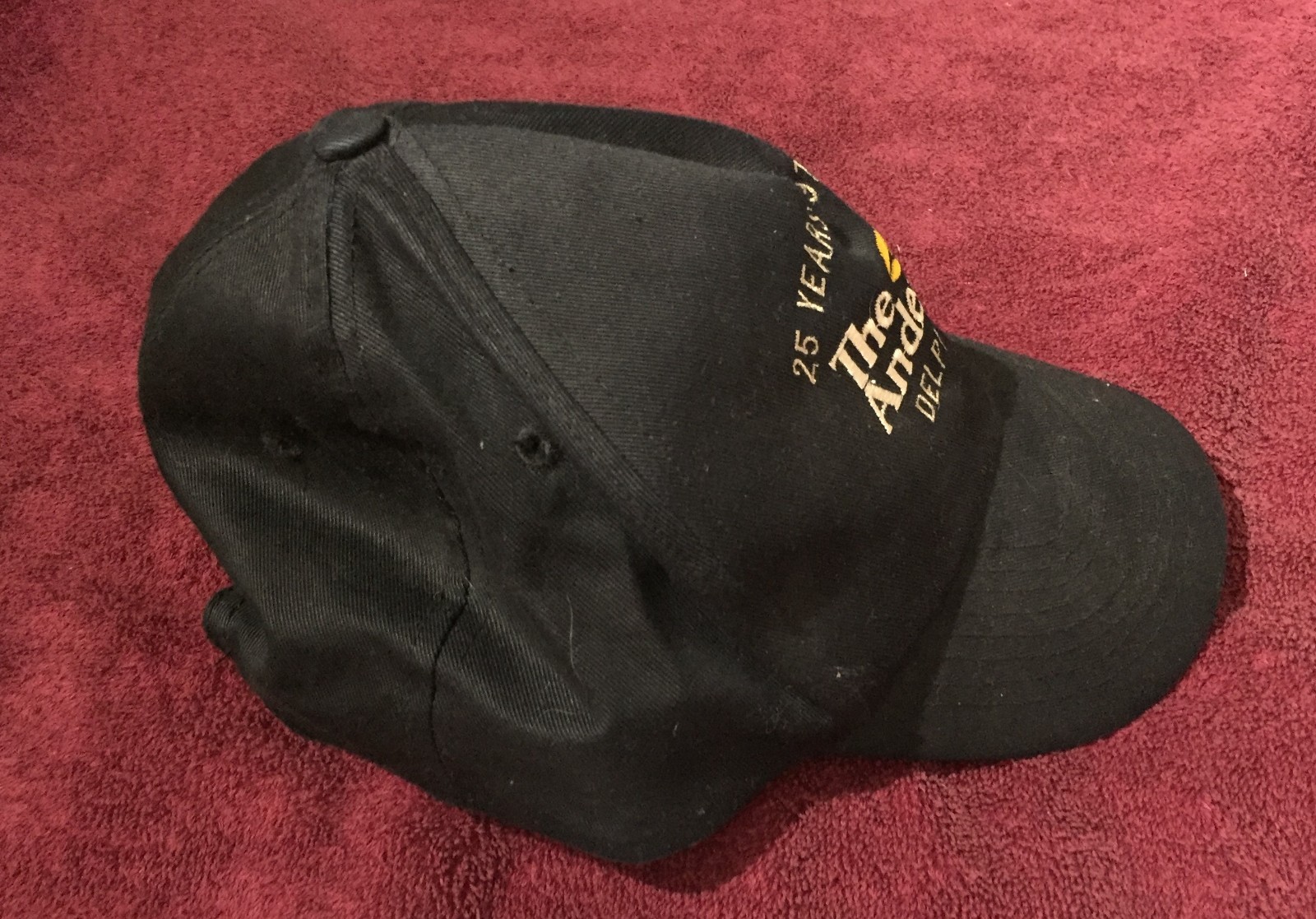 The Andersons Delphi Grain Baseball Hat ~ 1975-2000 Corn Grain Farming Elevators