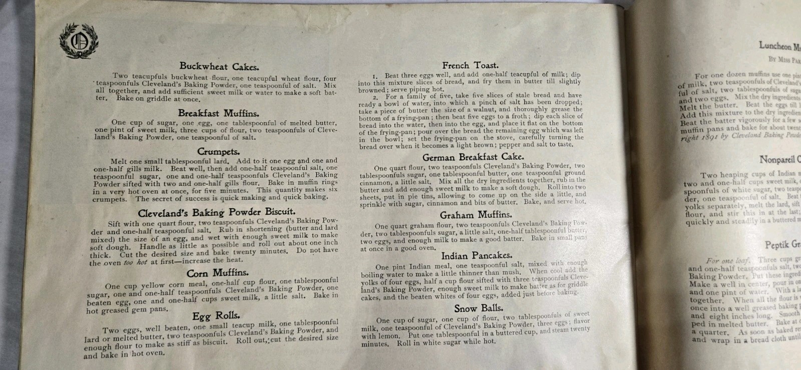 Rare 1890s D.M. OSBORNE & CO Handy Book For House & Farm Implements & Recipes
