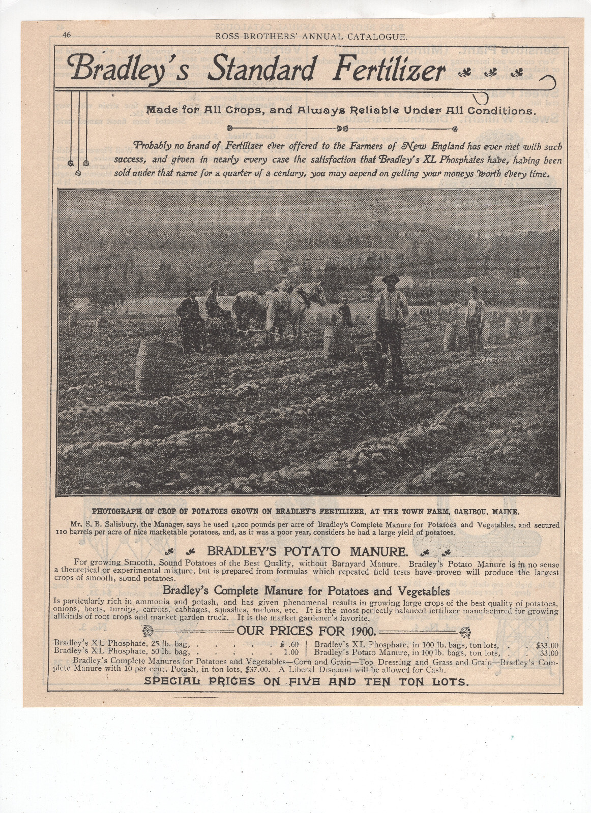 Antique 1900 Print Ad Bradley&rsquo;s Fertilizer Real Photo Farm Caribou Maine Work