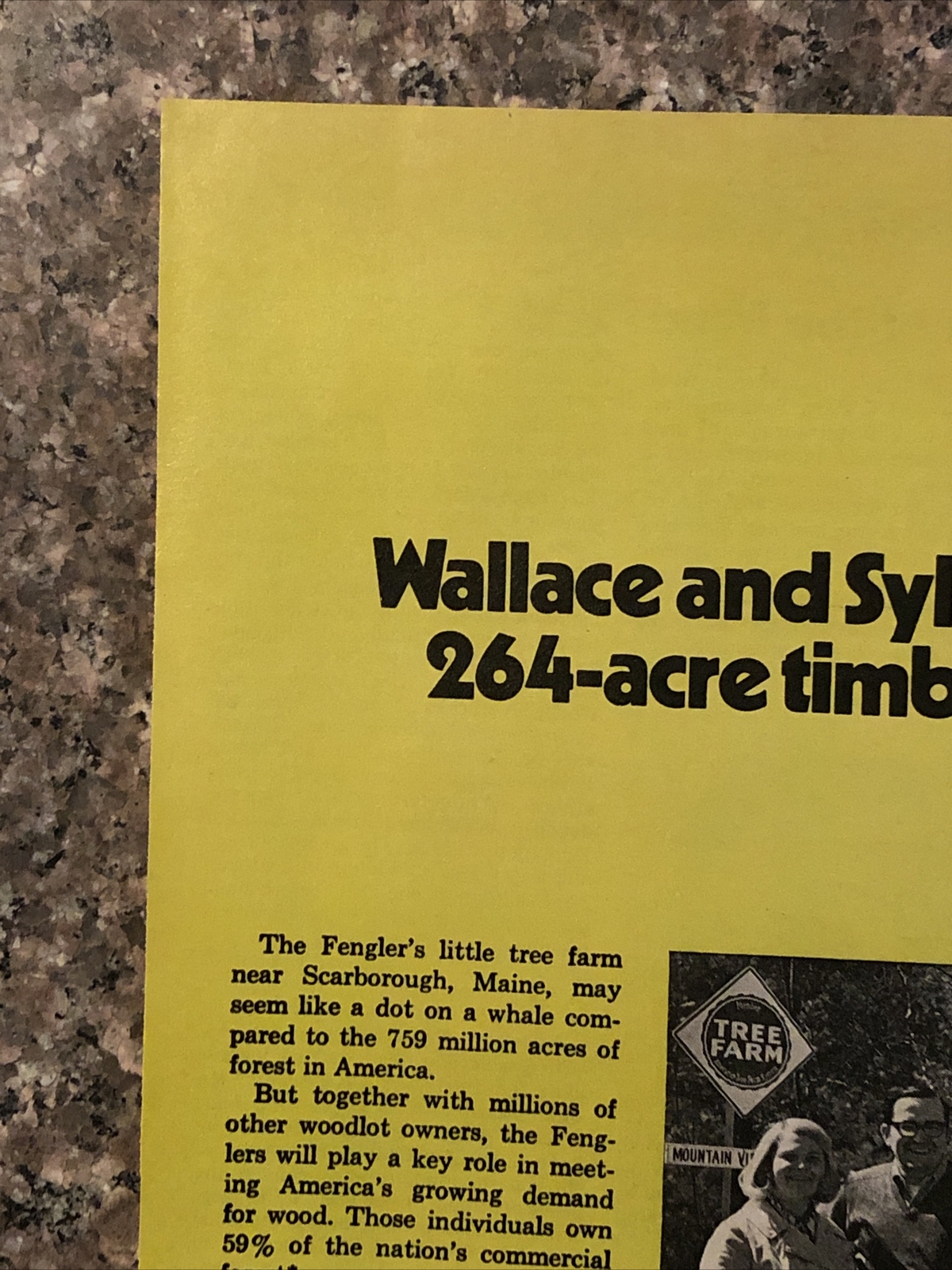 1974 American Forest PRINT AD Wallace Sylvia Fengler Scarborough Maine VTG 1970s