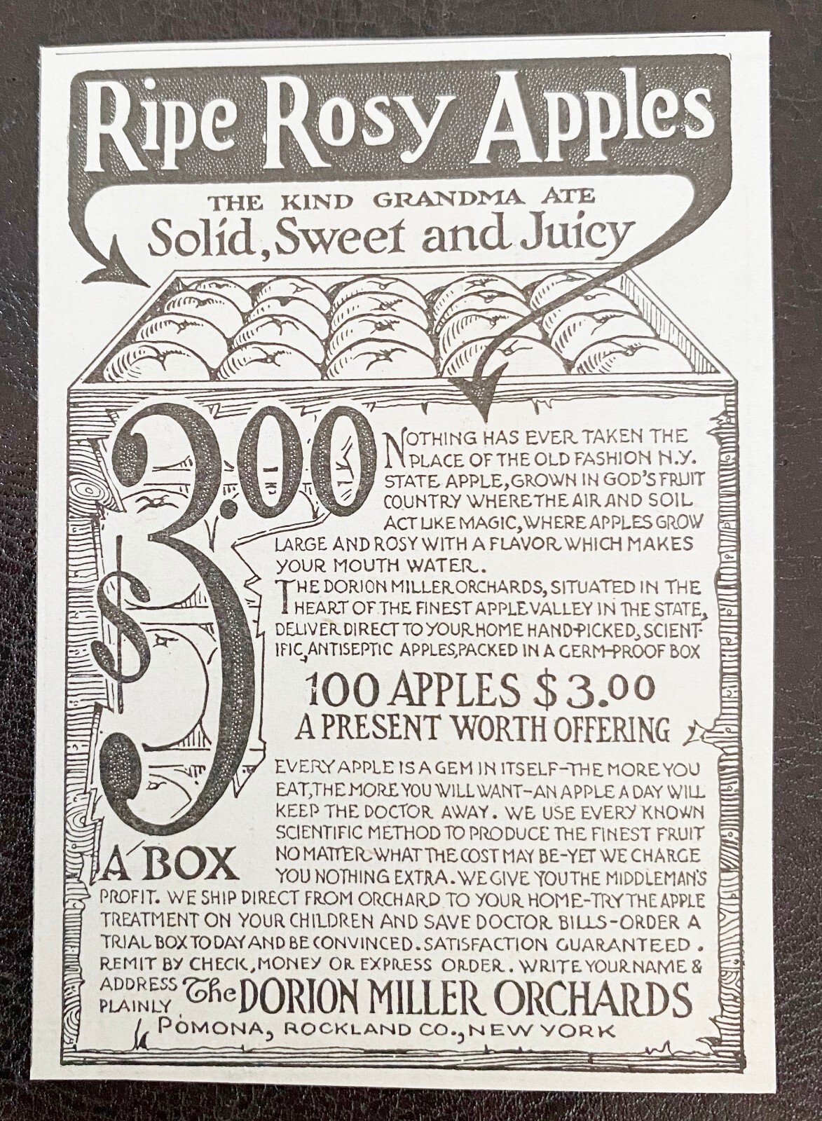 DORION MILLER ORCHARDS Ripe Rosy Apples Like Grandma Ate~Pomona,NY 1916 Print Ad