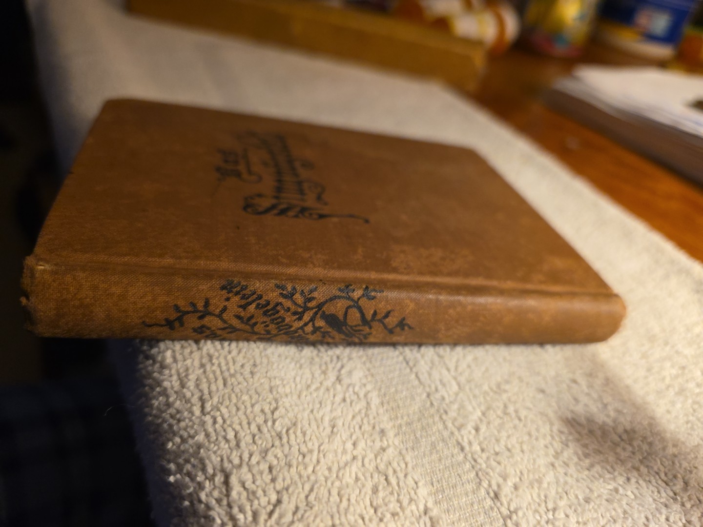 Das Singuogelein Bible 187? hymn song book German?