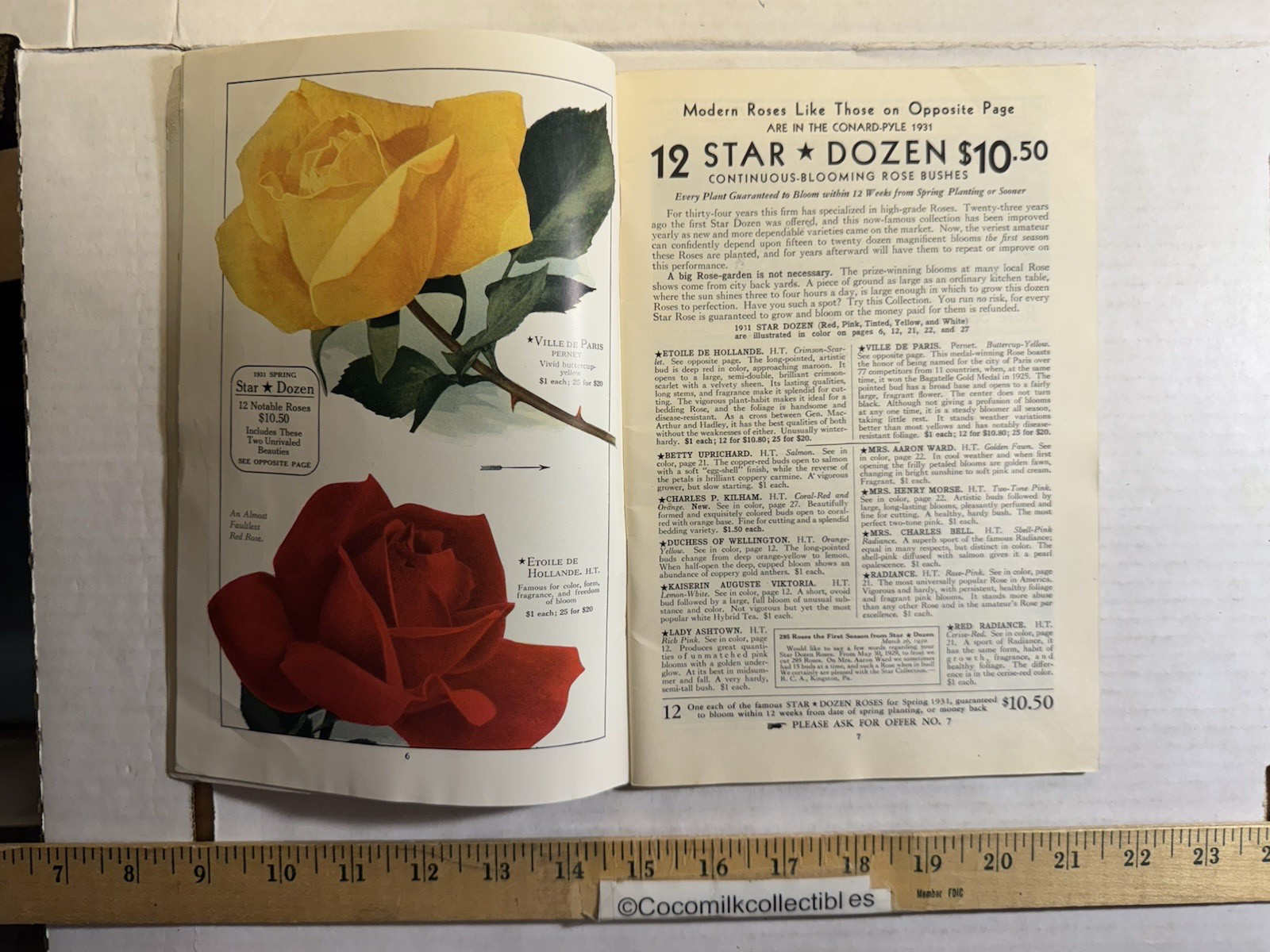 Vintage 1931 The Conard-Pyle CO Star Rose Growers Catalog West Grove PA