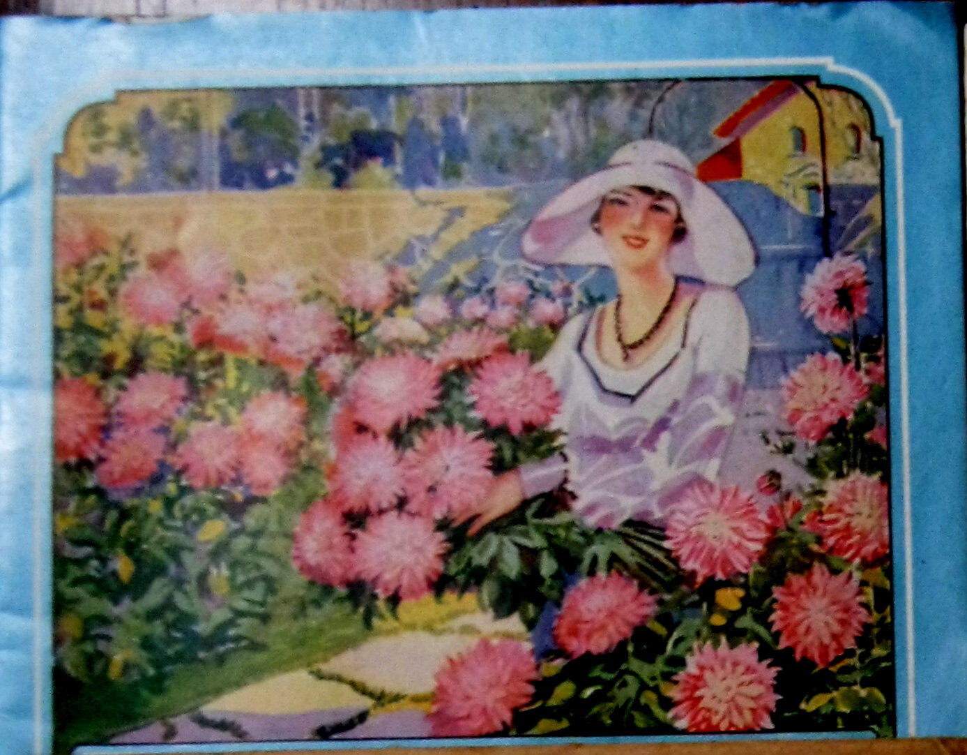 HUGE 1900-50&rsquo;s Collection DAHLIAS & Flower Clubs Seeds BOOKLETS Brochure Letters