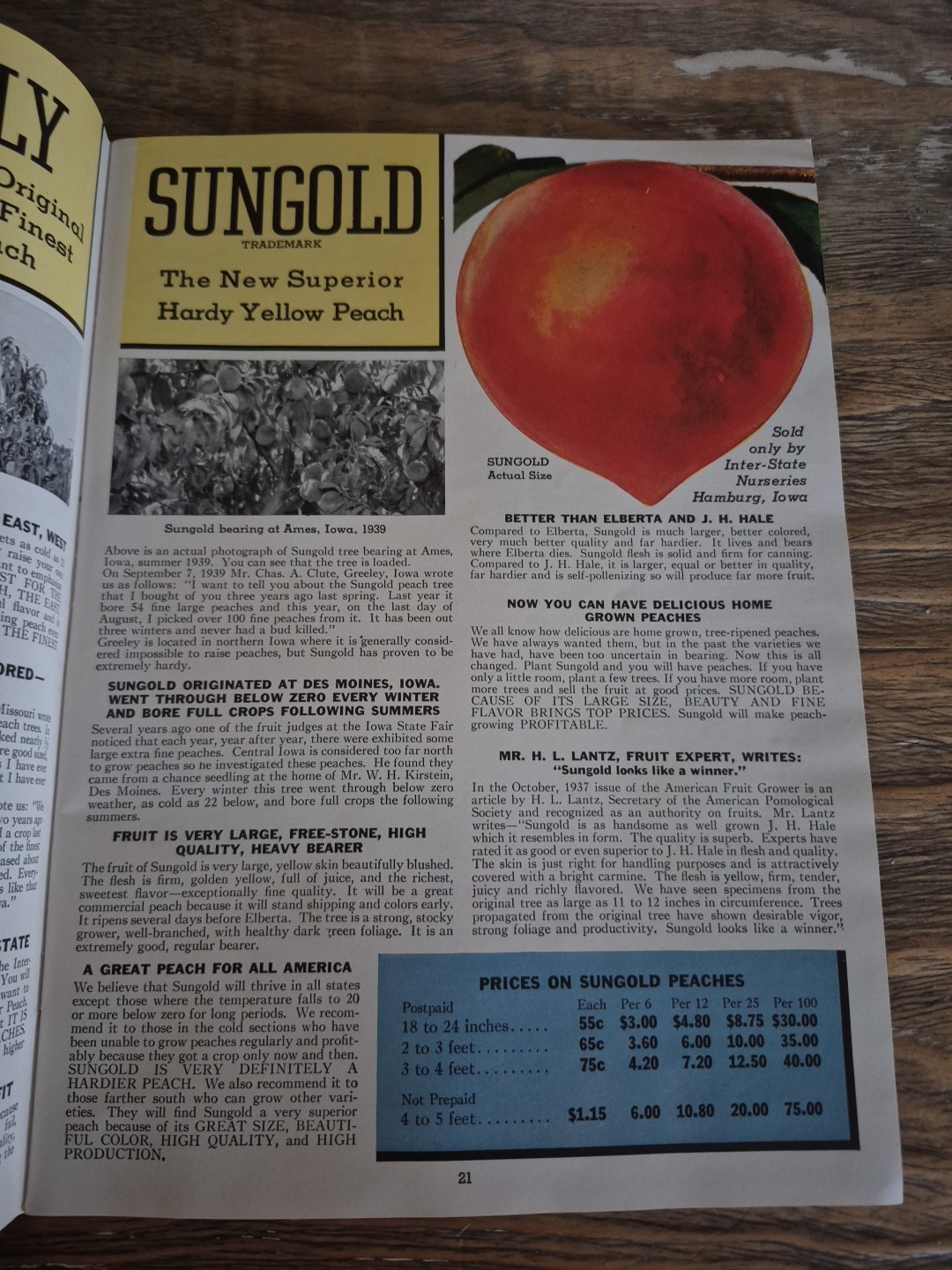 1940 Spring Garden Catalog Inter-State Nurseries Hamburg Iowa Roses Fruit Flower