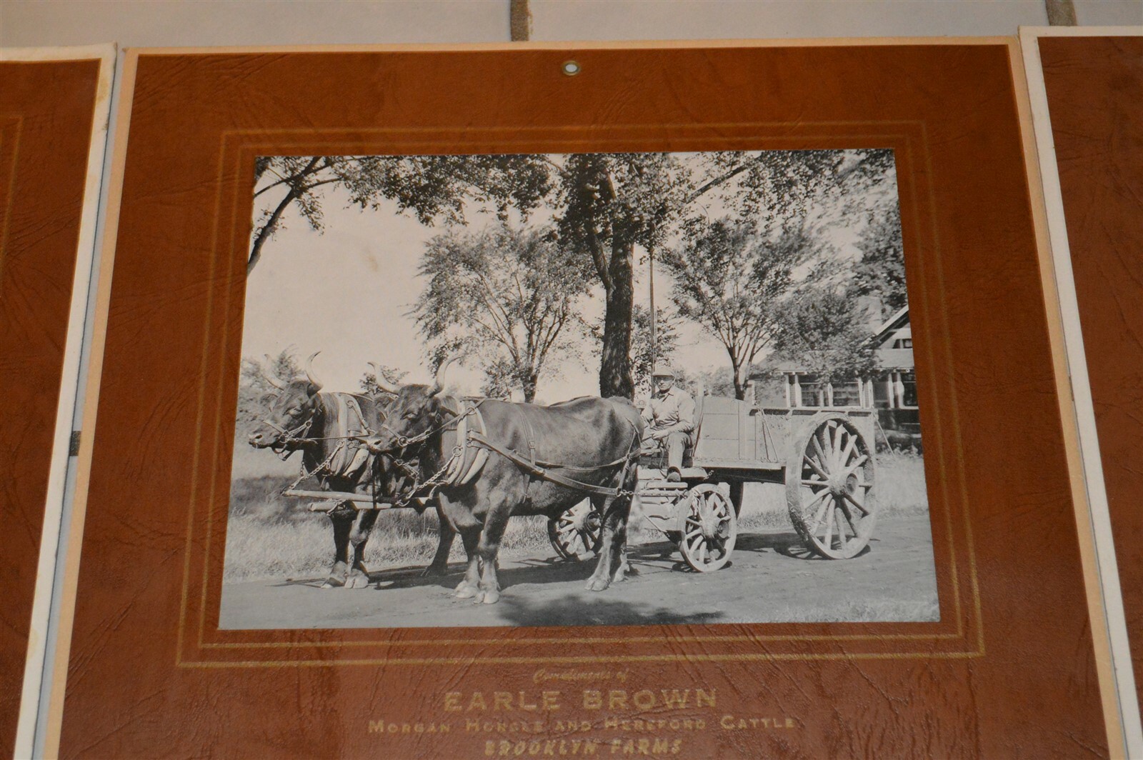 5 1946-1957 Earle Brown Calendars Camden Farms Mpls Morgan Horses