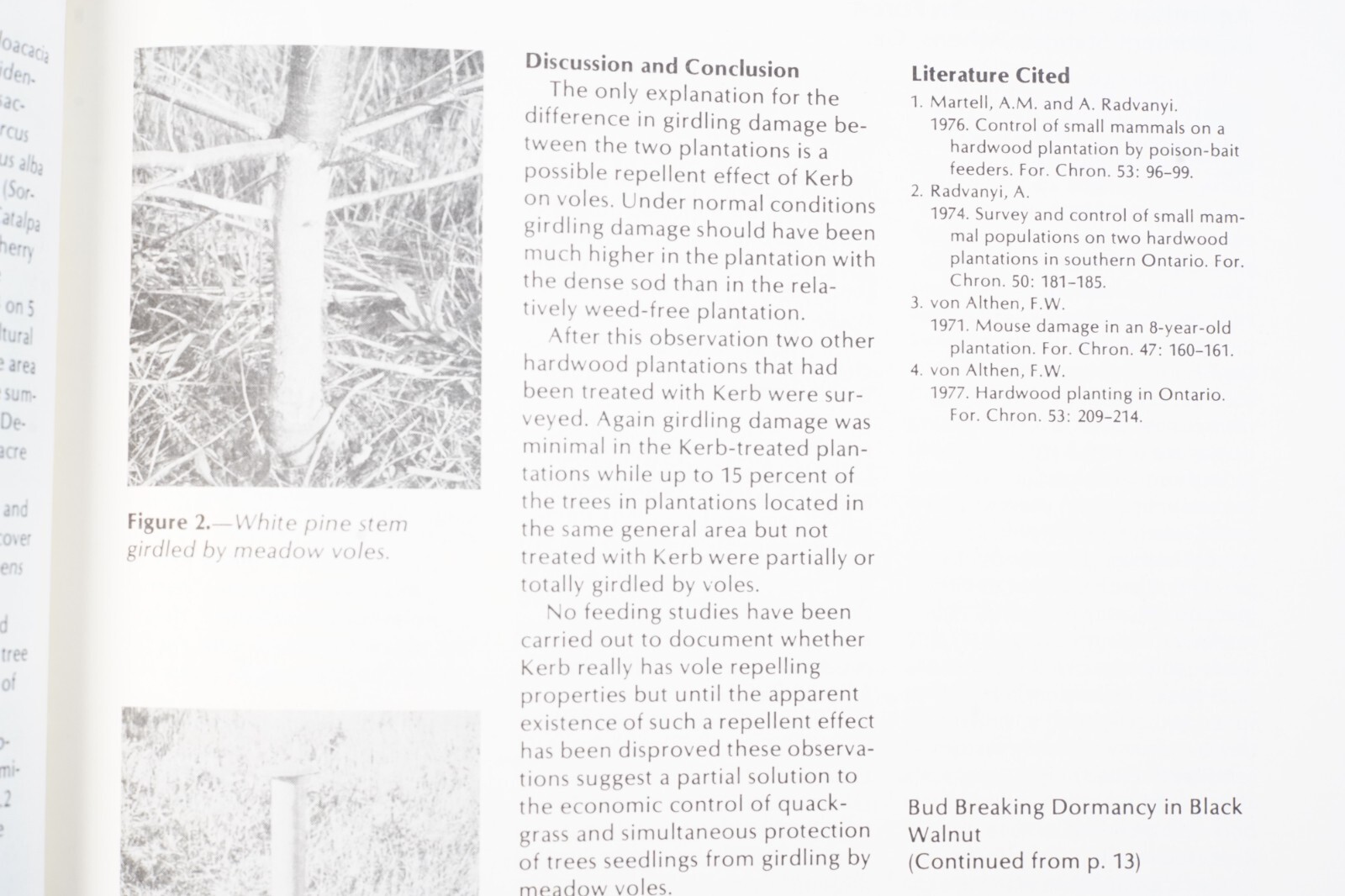 1979 USDA Tree Planters&rsquo; Notes Agricultural Brochure Vol. 30 No. 4