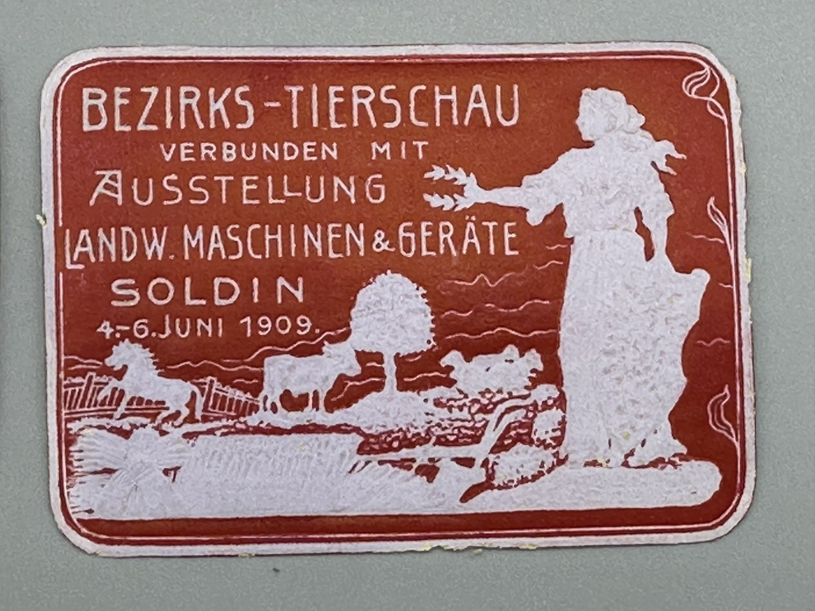 1909 SOLDIN Germany FARM EXPO Agricultural ANIMAL Advertising POSTER STAMP
