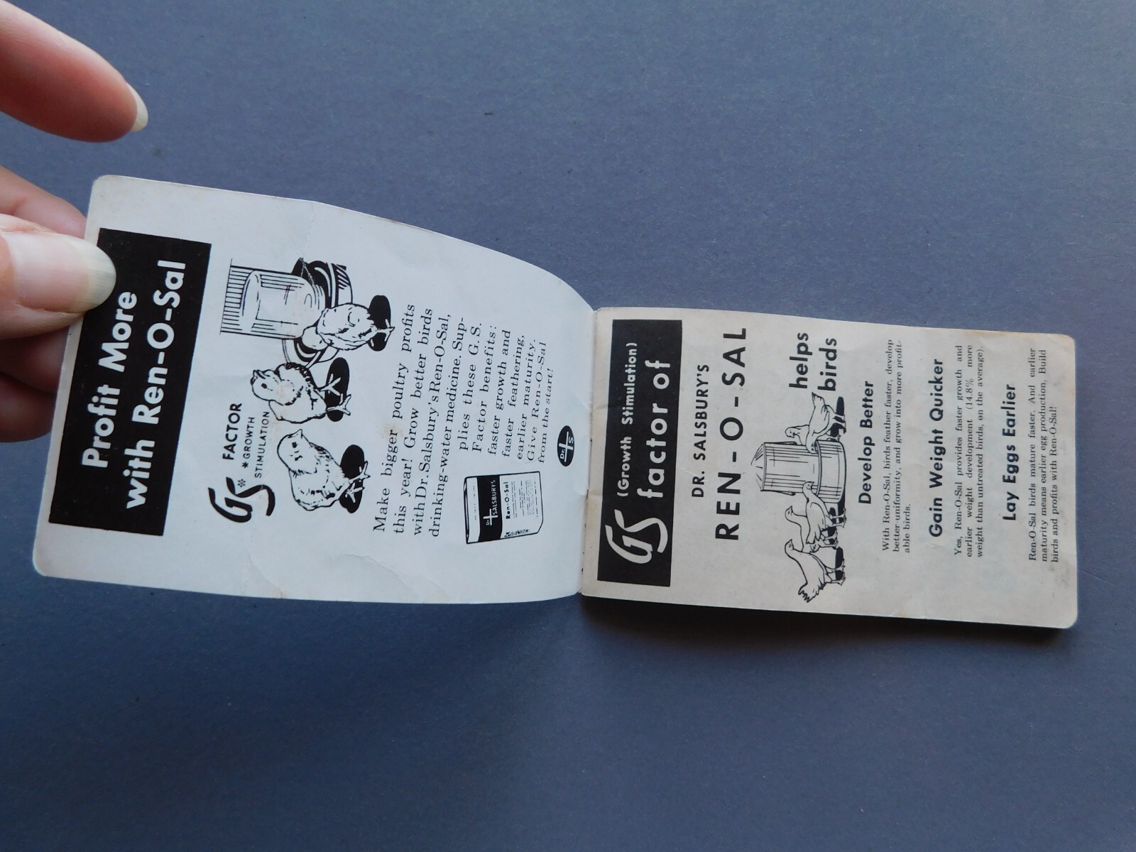 Dr Salsbury&rsquo;s Ren-O-Sal Drinking Water Medicine for Poultry – label pad