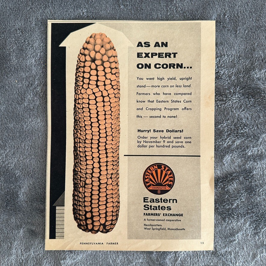 Eastern States Farmers Exchange Hybrid Corn Agriculture Vintage Print Ad 1963
