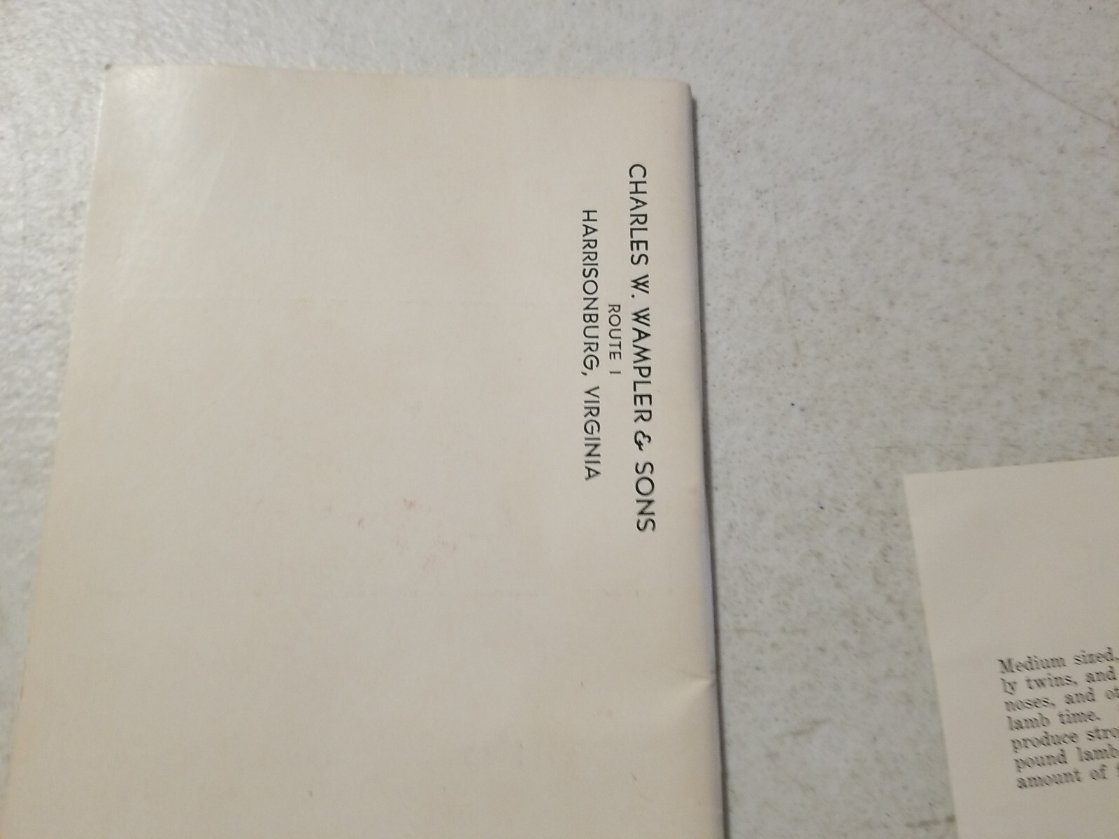 Vintage 1962 Wampler&rsquo;s Cheviot Sheep Sale Catalog & Flyer. Harrisonburg, VA