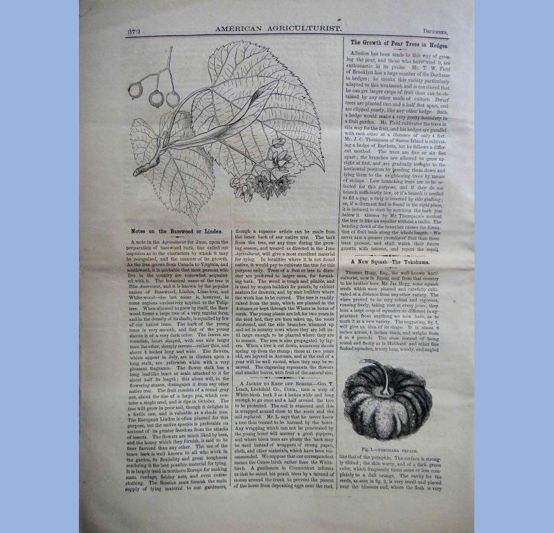1863 DEC antique AMERICAN AGRICULTURIST farm garden household orange judd