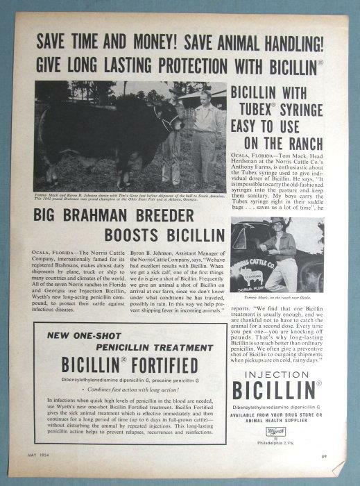 8×11 Original 1954 Wyeth Ad features Tom Mack, Ocala, Florida