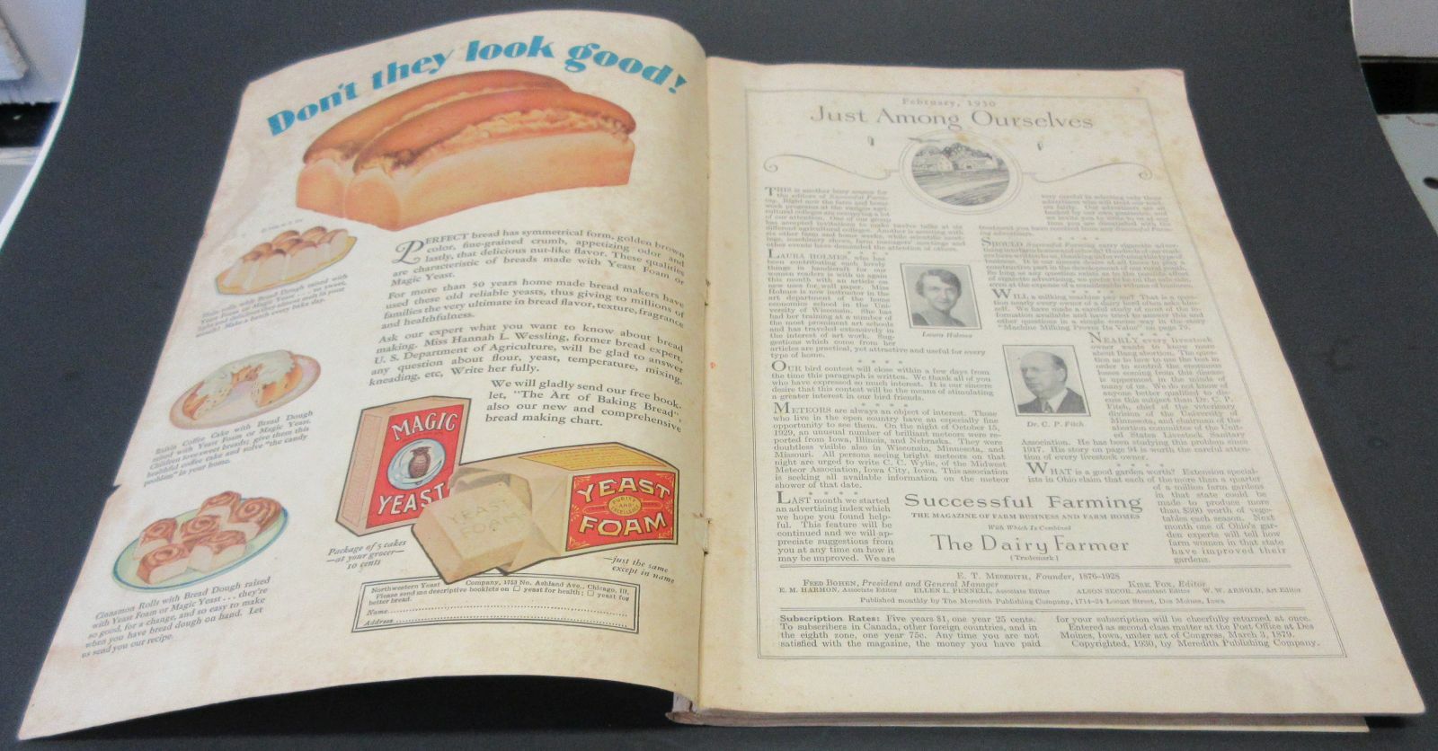 February 1930 Success Farming Magazine