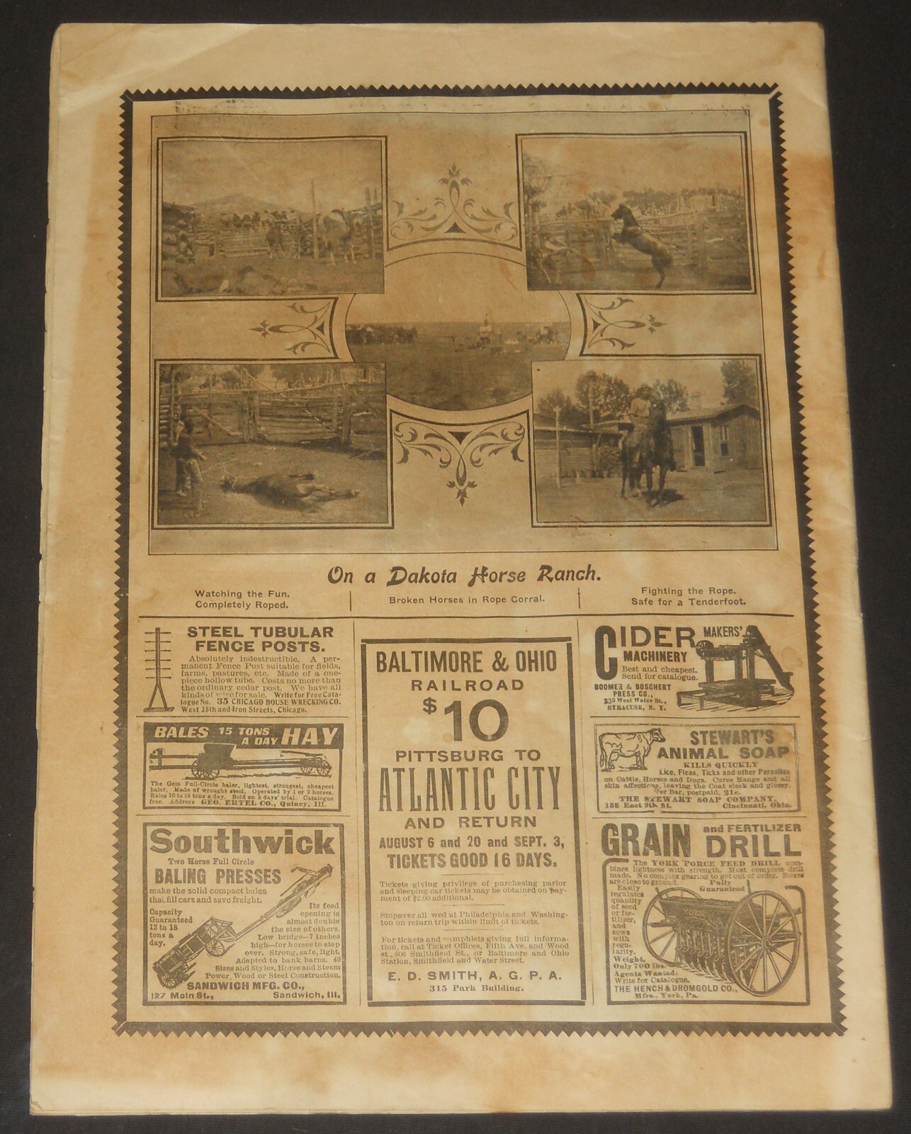 National Stockman and Farmer large size magazine many horse illustrations + ads