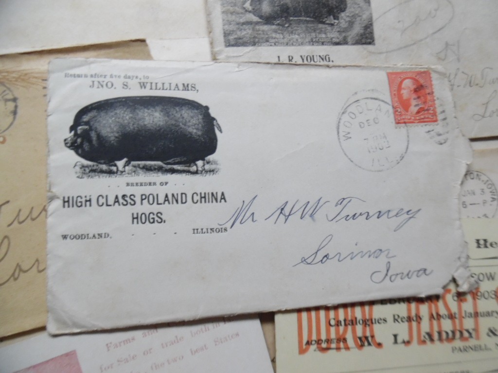 1902-1903 H W Turney Poland China Hog Breeder Archive Letters More Lorimor Iowa