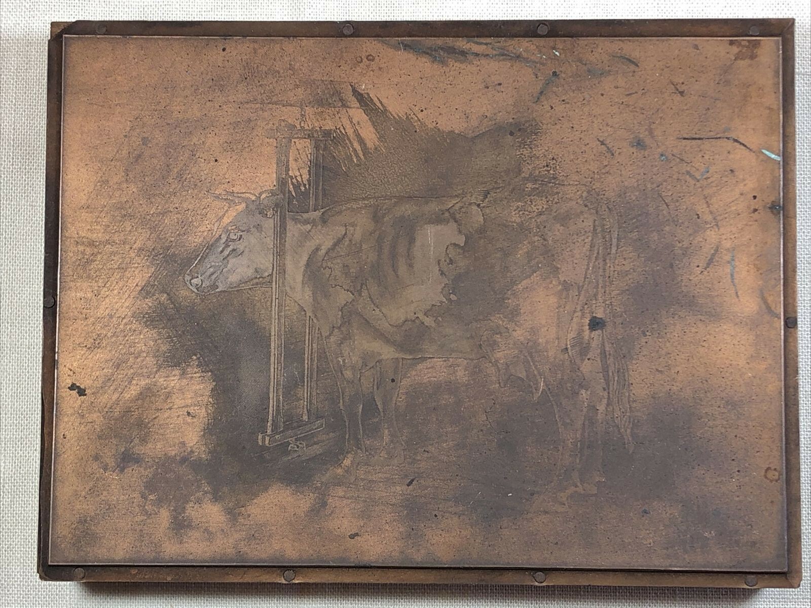 Rare Antique Robertson&rsquo;s Forestville CT Stanchion Cow Copper Plate for BOOKLET