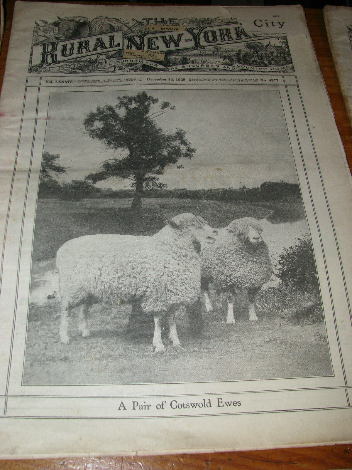 Eleven Vintage 1923-1941 The Rural New Yorker Journal Newspaper