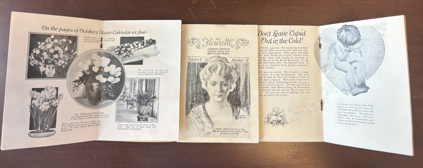 Q Rare Lot of (3) THE FLEURETTE Hauge Flower & Plant House FAIRMONT WV from 1923
