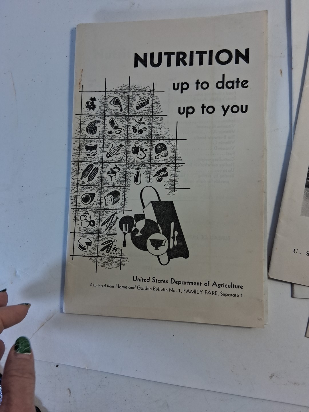 U.S. DEPARTMENT OF AGRICULTURE PAMPHLETS Read Look Plumbing Shrub Freezing Meat